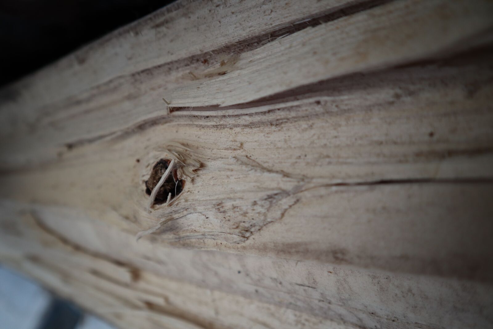 Canon EF-M 15-45mm F3.5-6.3 IS STM sample photo. Wood, knot, trunk photography