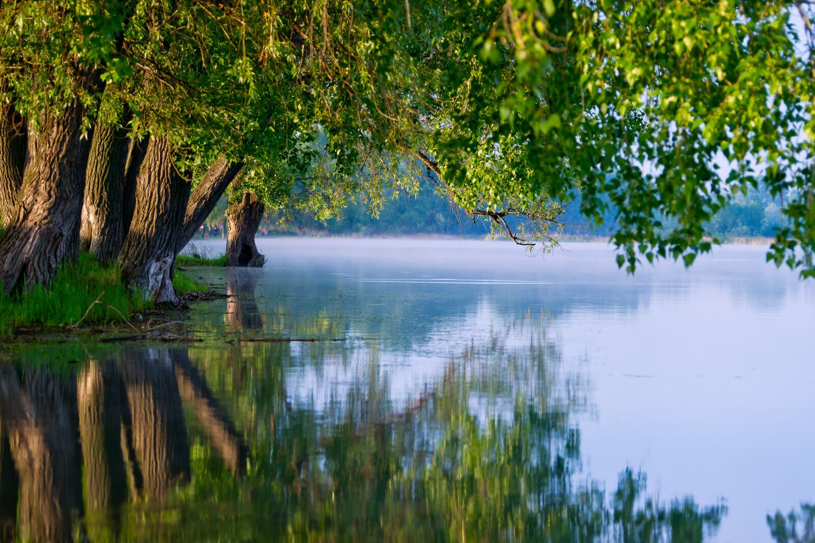 70-400mm F4.0-5.6 G SSM sample photo. Water, nature, green photography