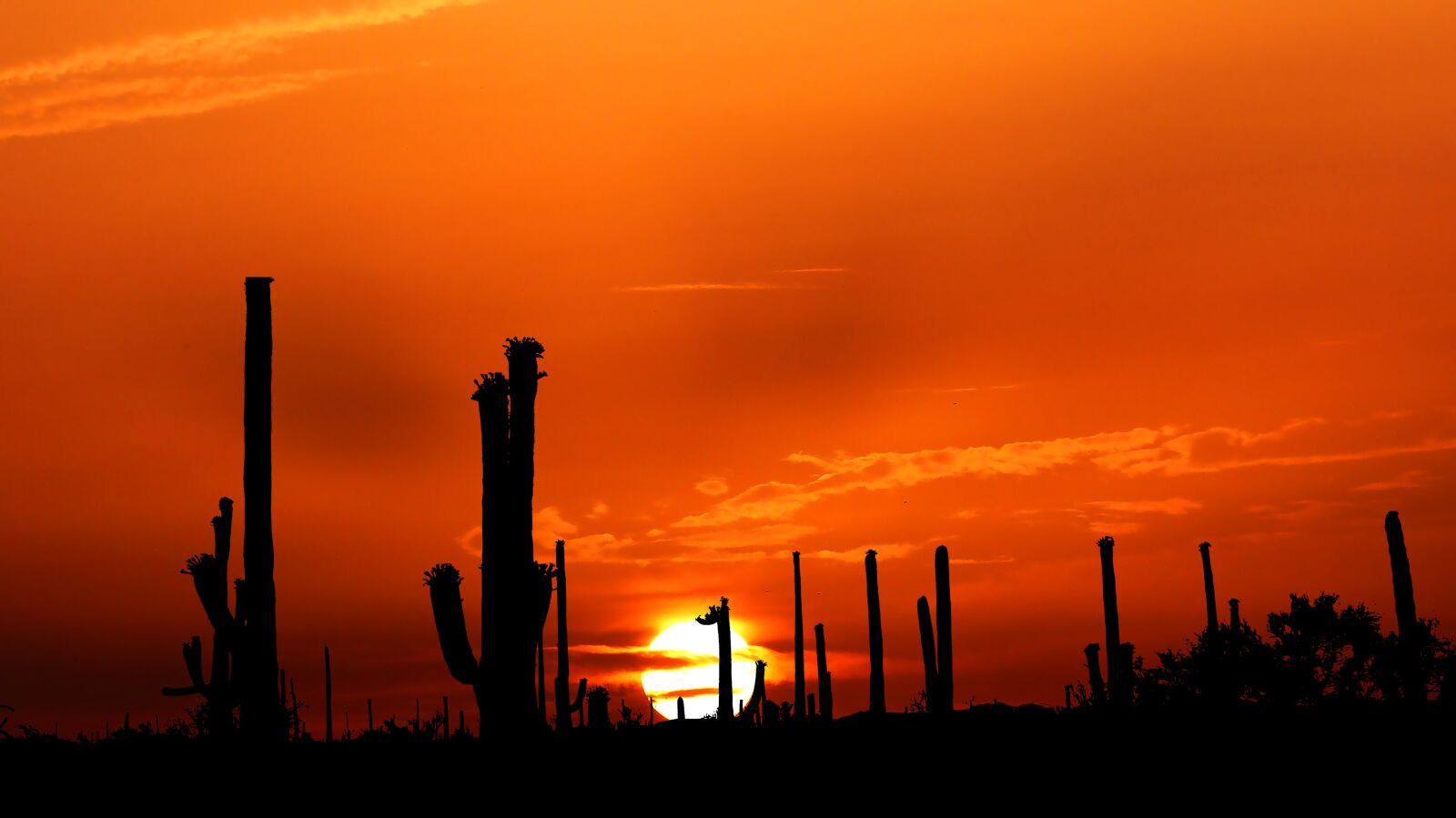 Panasonic Lumix DMC-FZ200 sample photo. Sunset, nature, landscape photography