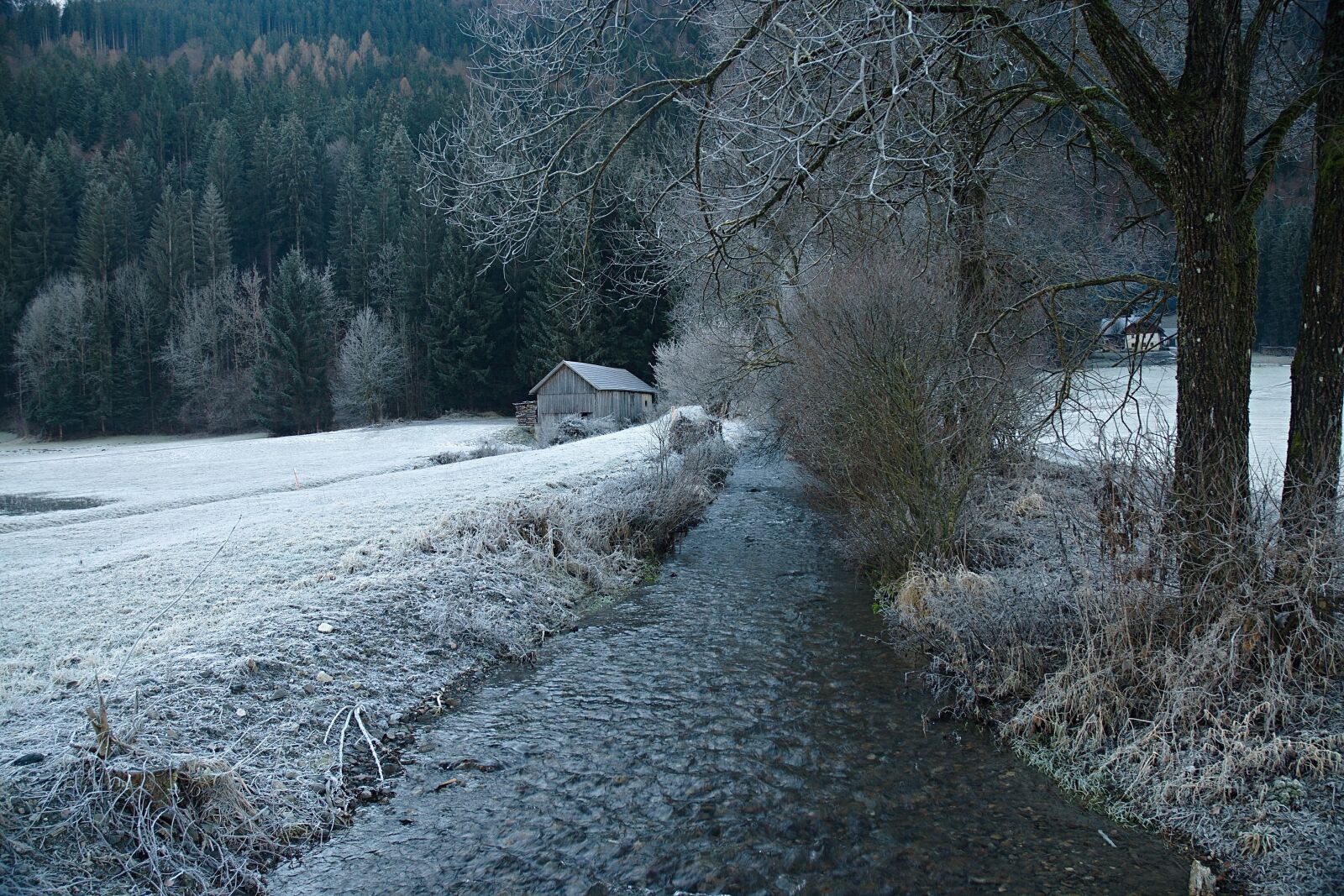 Nikon D80 sample photo. Rime, austria, alps photography