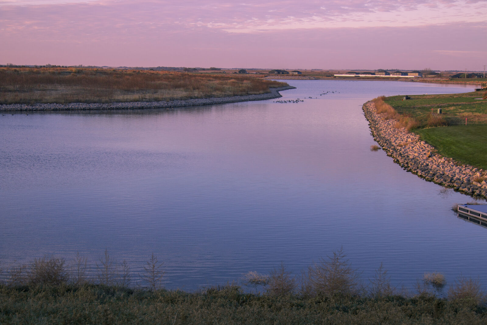 Canon EOS 70D sample photo. Flat, geese, lake, nebraska photography