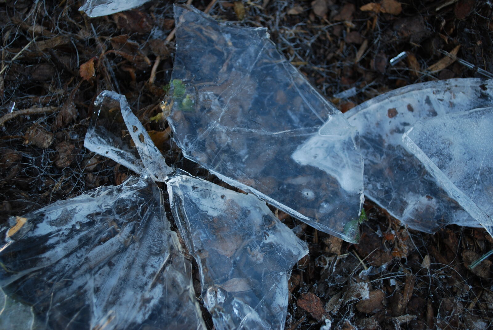 Nikon D60 sample photo. Broken, dark, dirt, ground photography