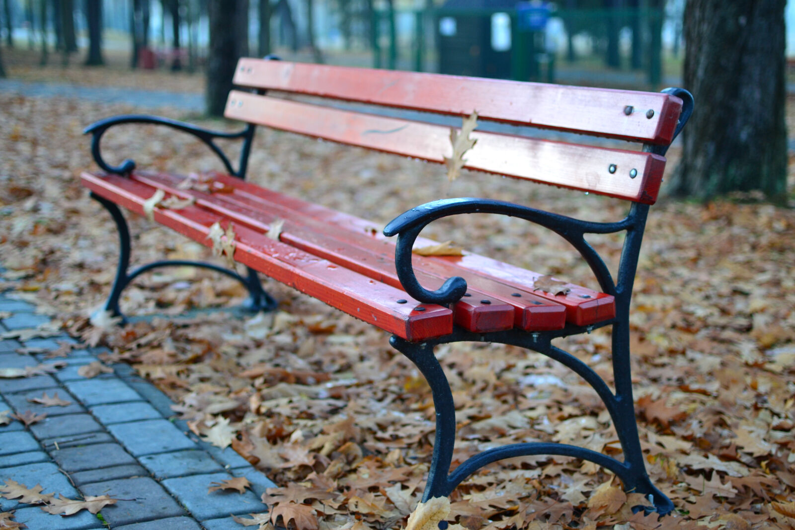 Nikon D3100 + Nikon AF-S DX Nikkor 35mm F1.8G sample photo. Bench, path, park, relax photography