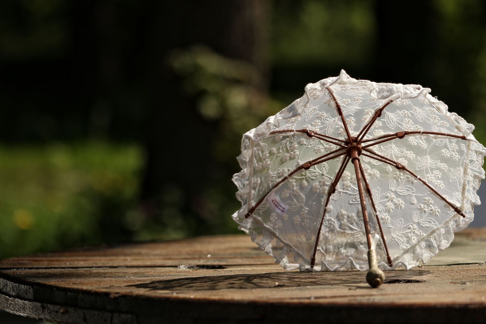 Canon EOS 7D Mark II sample photo. Parasol, sun, summer photography