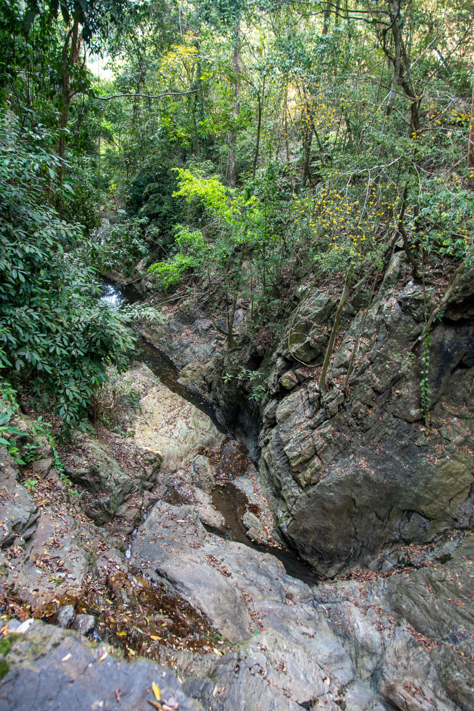 Nikon D5600 sample photo. Waterfall, mountains, nature photography