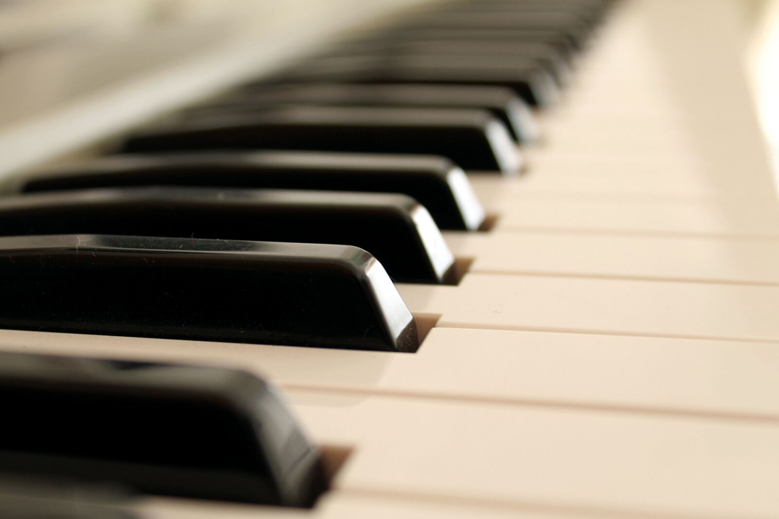Canon EOS 1100D (EOS Rebel T3 / EOS Kiss X50) sample photo. Piano, music, instruments photography