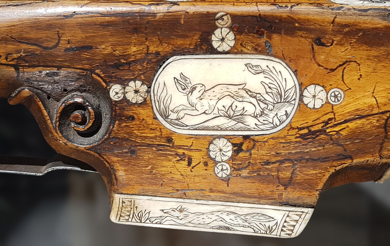 Samsung Galaxy S7 Edge sample photo. Crossbow, hunting, hare photography