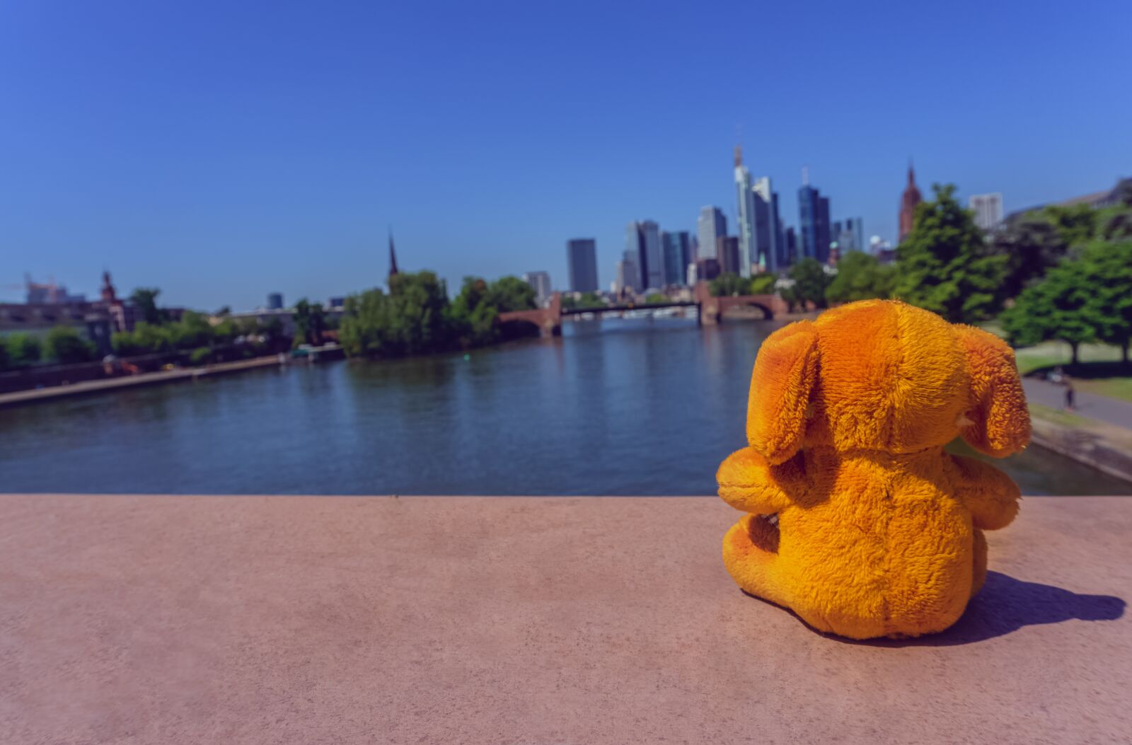 Sony a6000 sample photo. Soft toy, plush dog photography