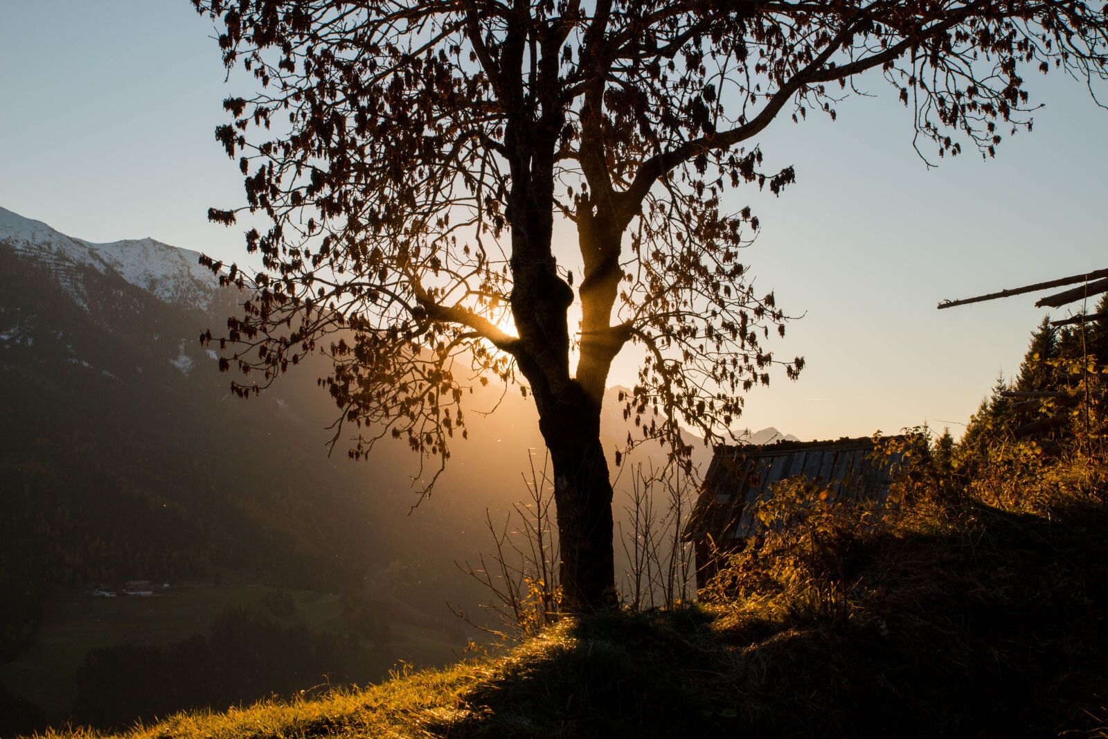 Canon EOS 70D sample photo. Tree, landscape, nature photography