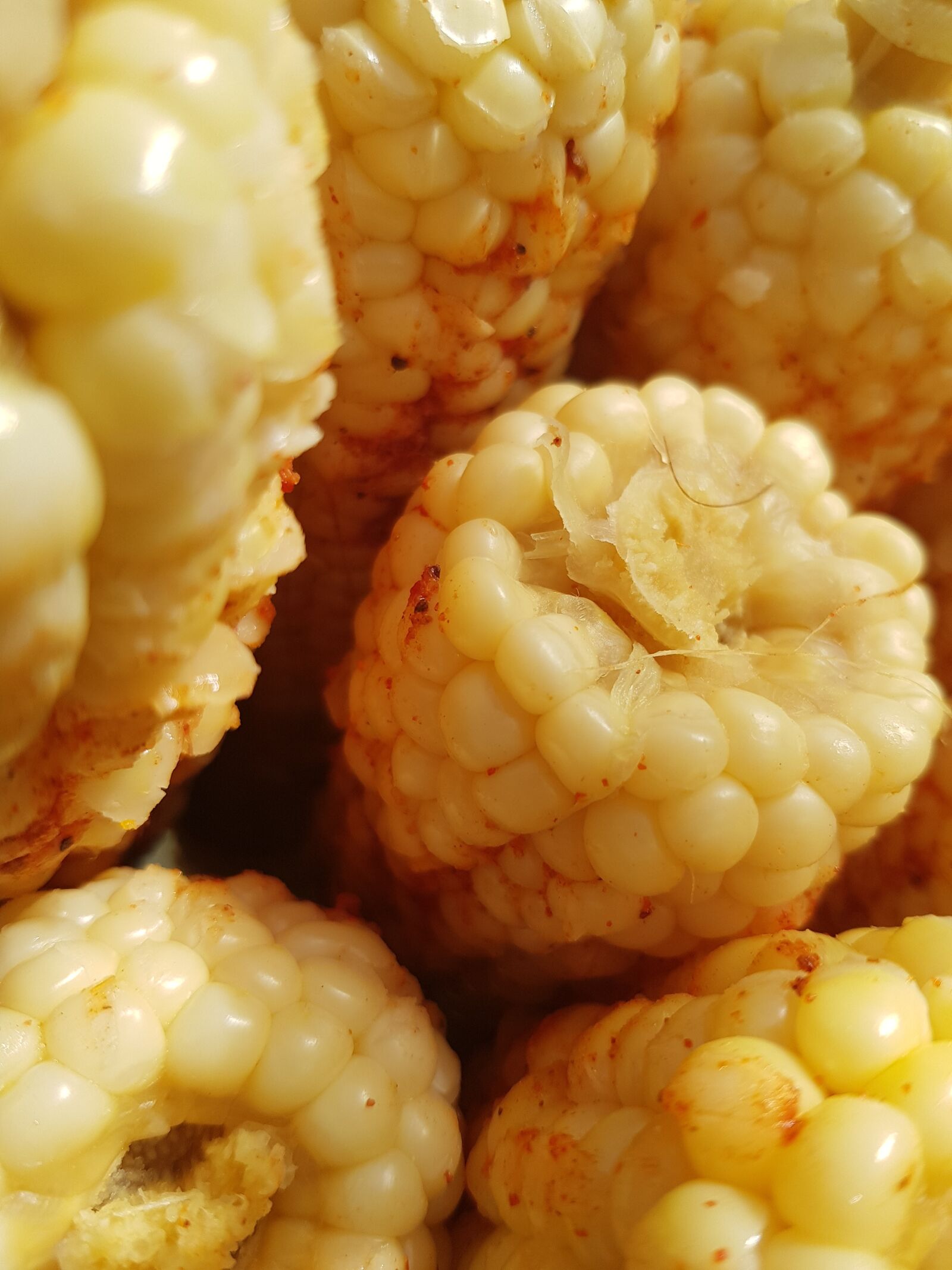 Samsung Galaxy S8 sample photo. Corn, agriculture, steamed corn photography