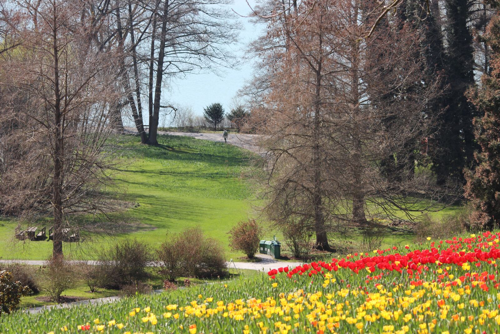 Canon EOS 600D (Rebel EOS T3i / EOS Kiss X5) sample photo. Spring, trees, bud photography
