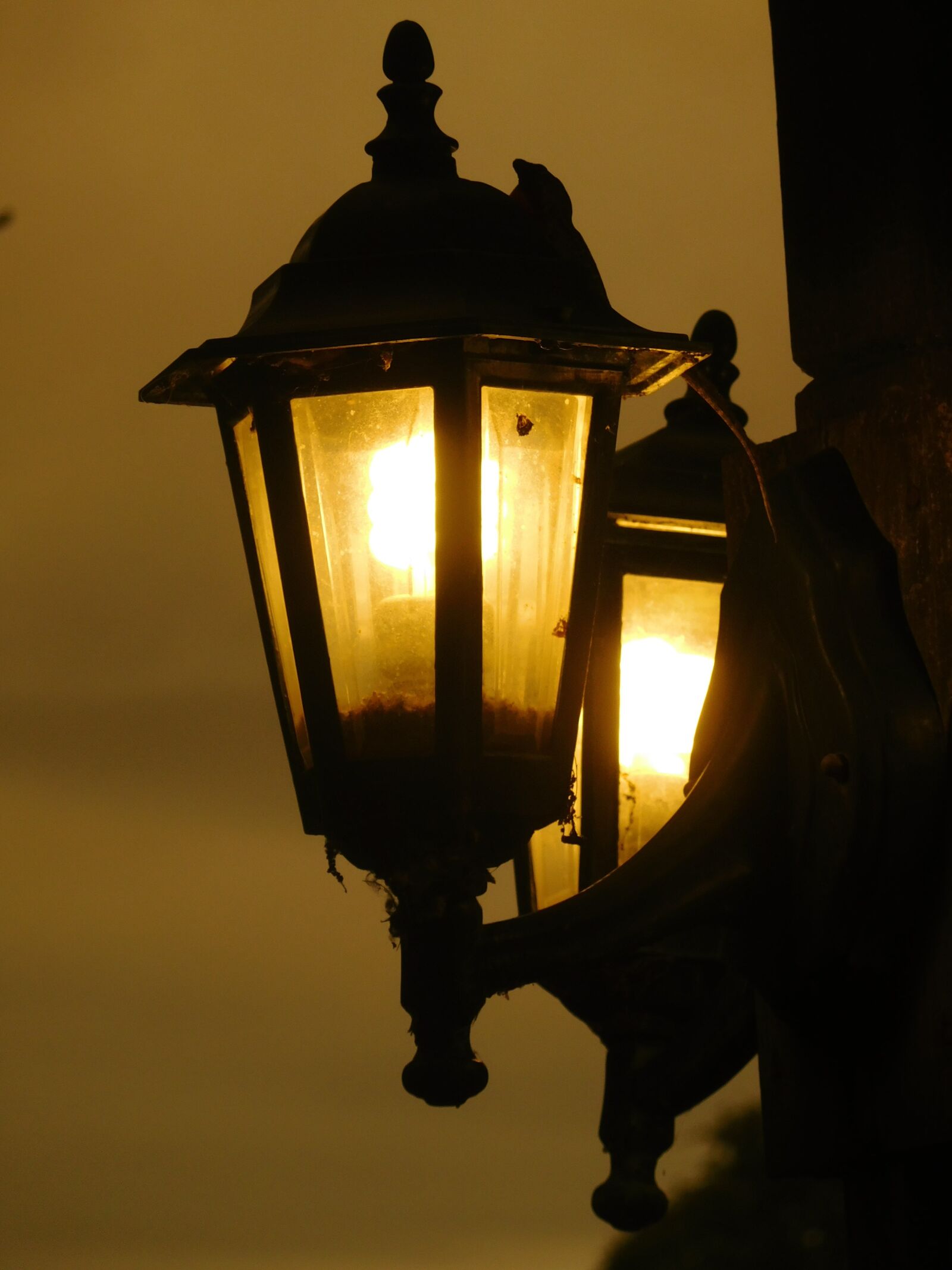 Nikon Coolpix S7000 sample photo. Lamp, lantern, evening photography