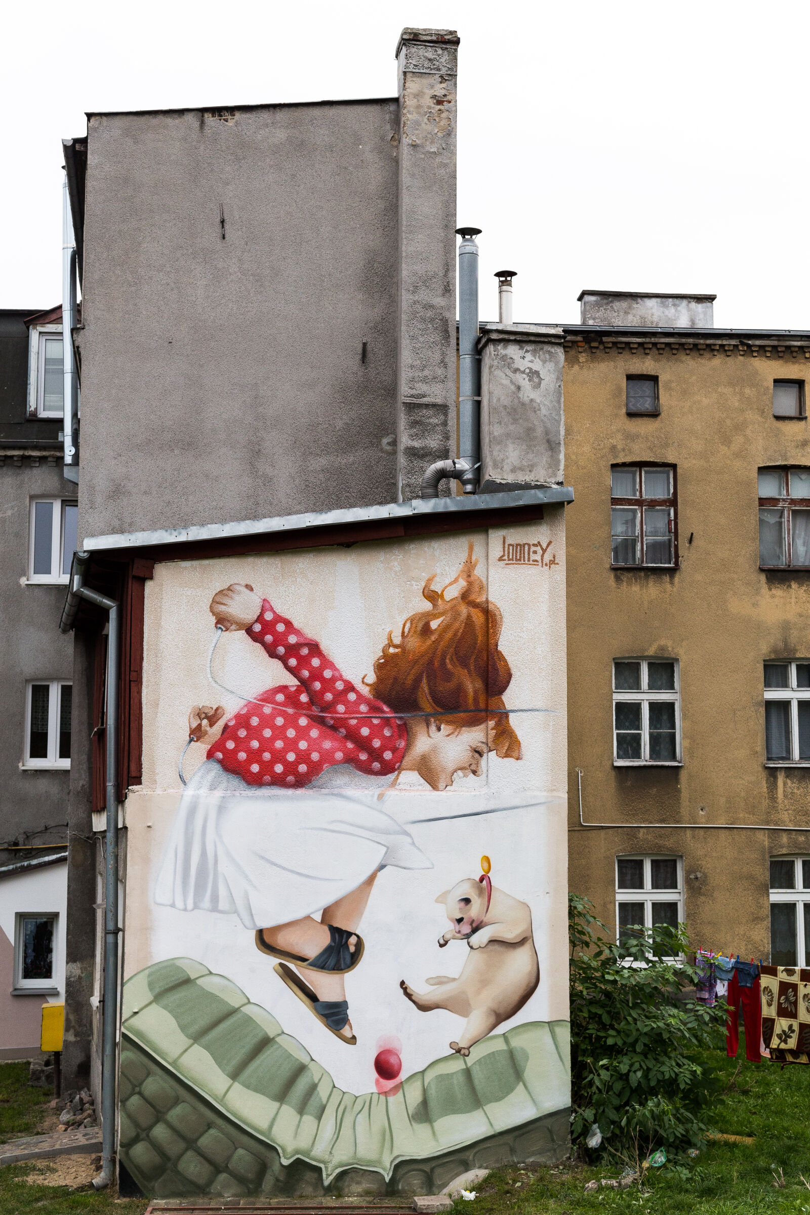 Canon EOS 6D + Canon EF 50mm F1.4 USM sample photo. Architecture, art, building, cat photography
