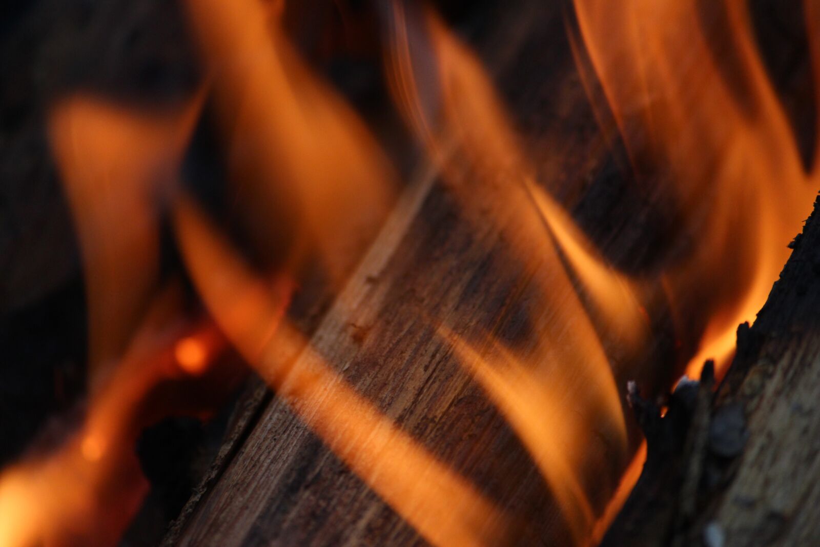 Canon EOS 600D (Rebel EOS T3i / EOS Kiss X5) sample photo. Fire, campfire, flame photography