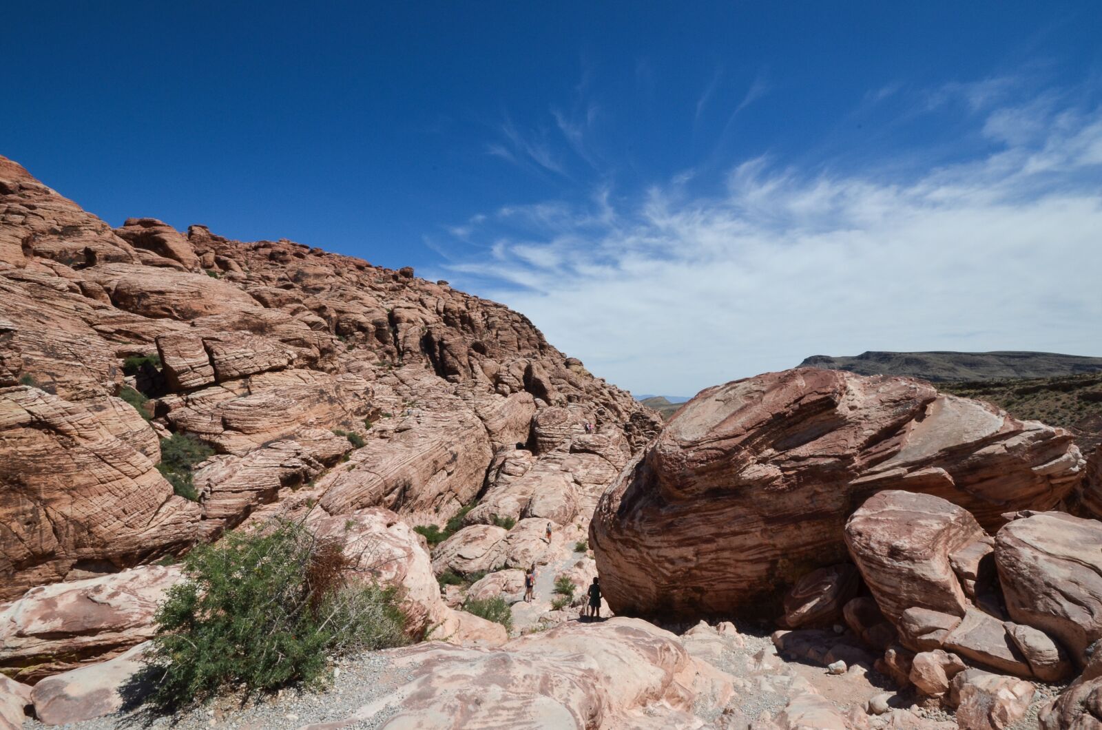 Nikon D5100 sample photo. Usa, america, nevada photography