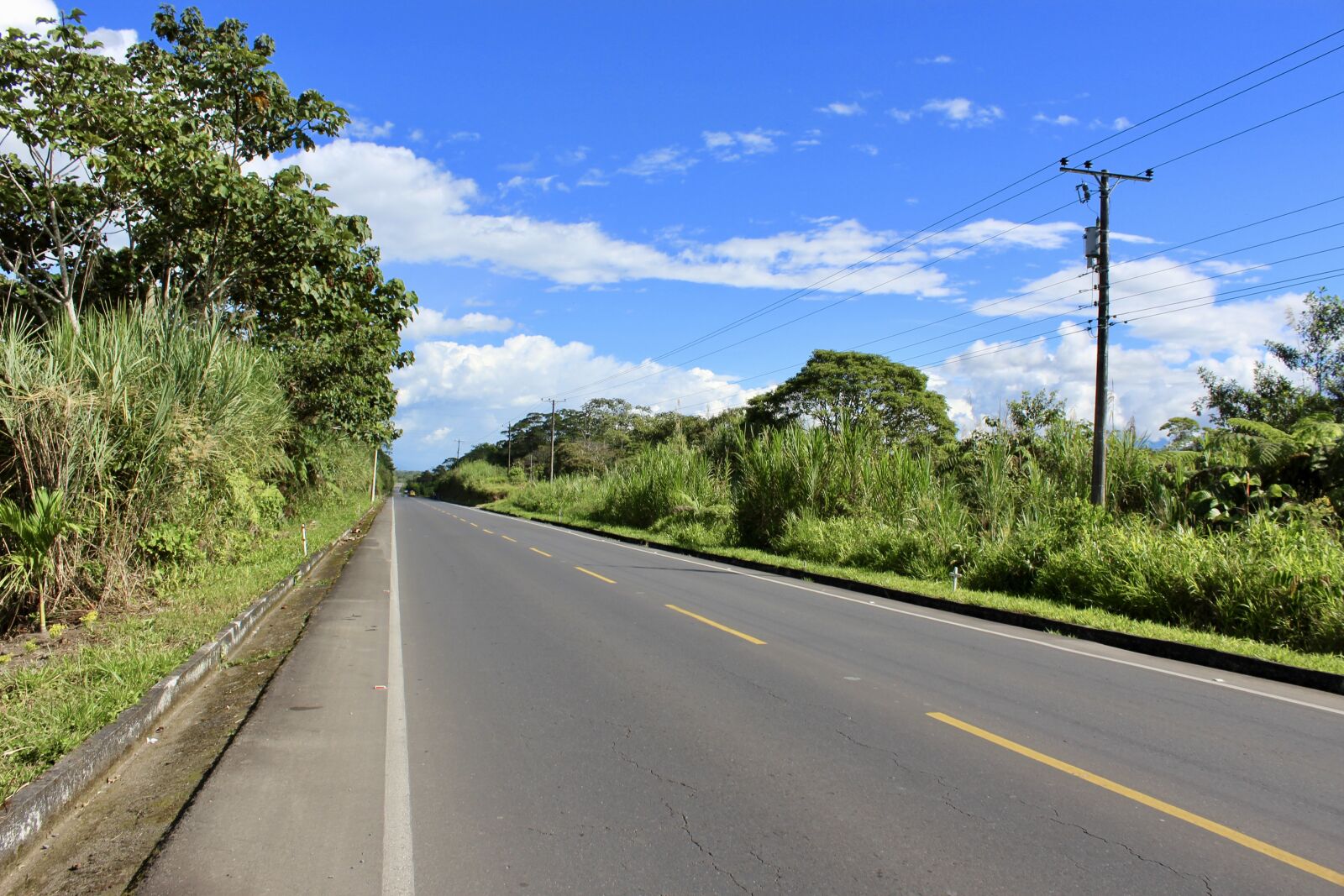 Canon EOS 1200D (EOS Rebel T5 / EOS Kiss X70 / EOS Hi) sample photo. Road, rainforest, tropical photography