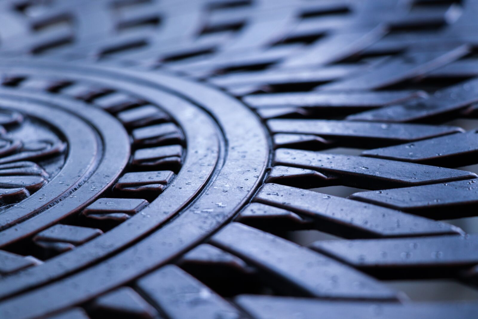 Canon EOS 77D (EOS 9000D / EOS 770D) sample photo. Metal, crafts, wrought iron photography