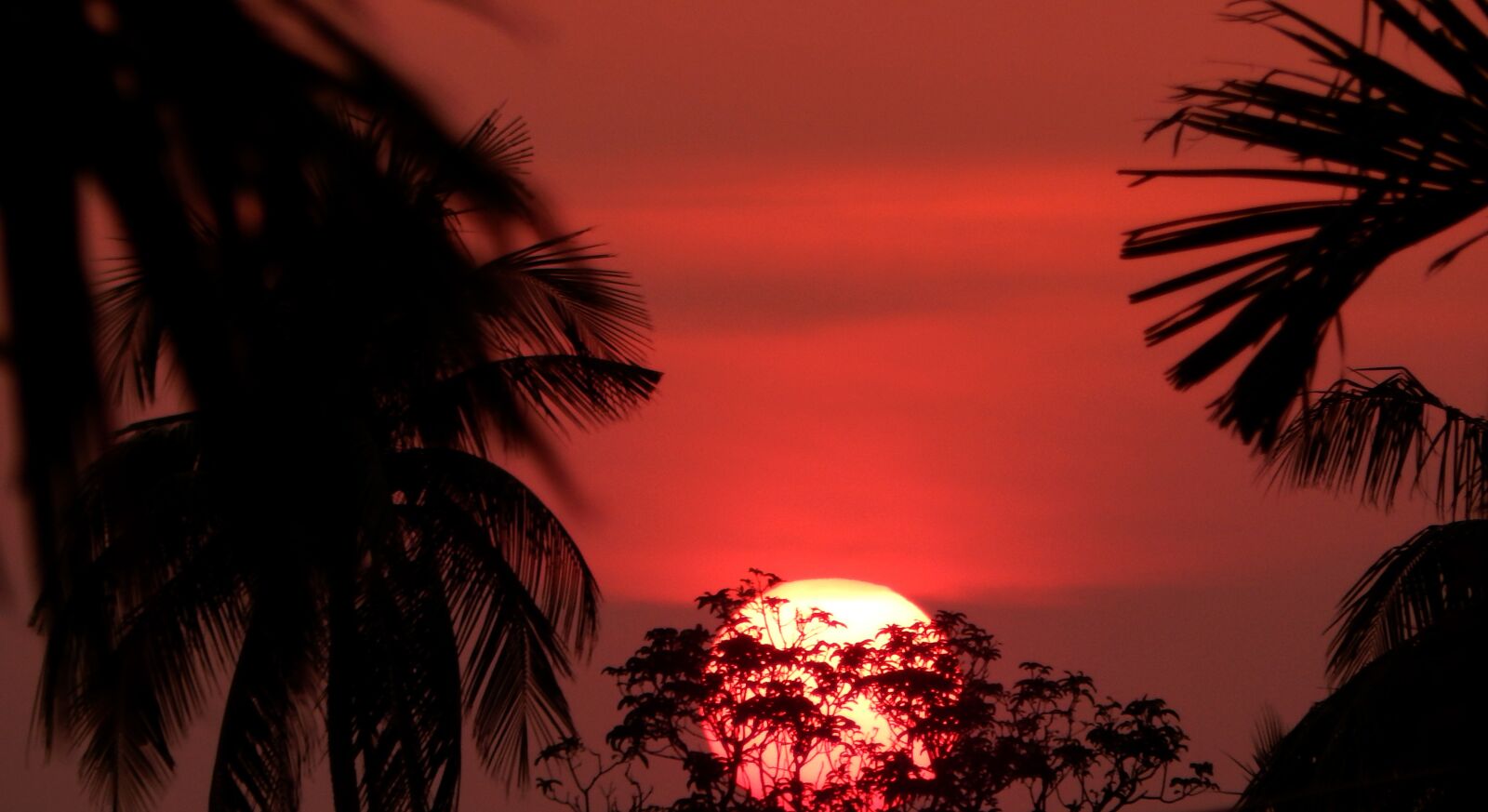 Nikon Coolpix L820 sample photo. Sun, sunset, landscape photography