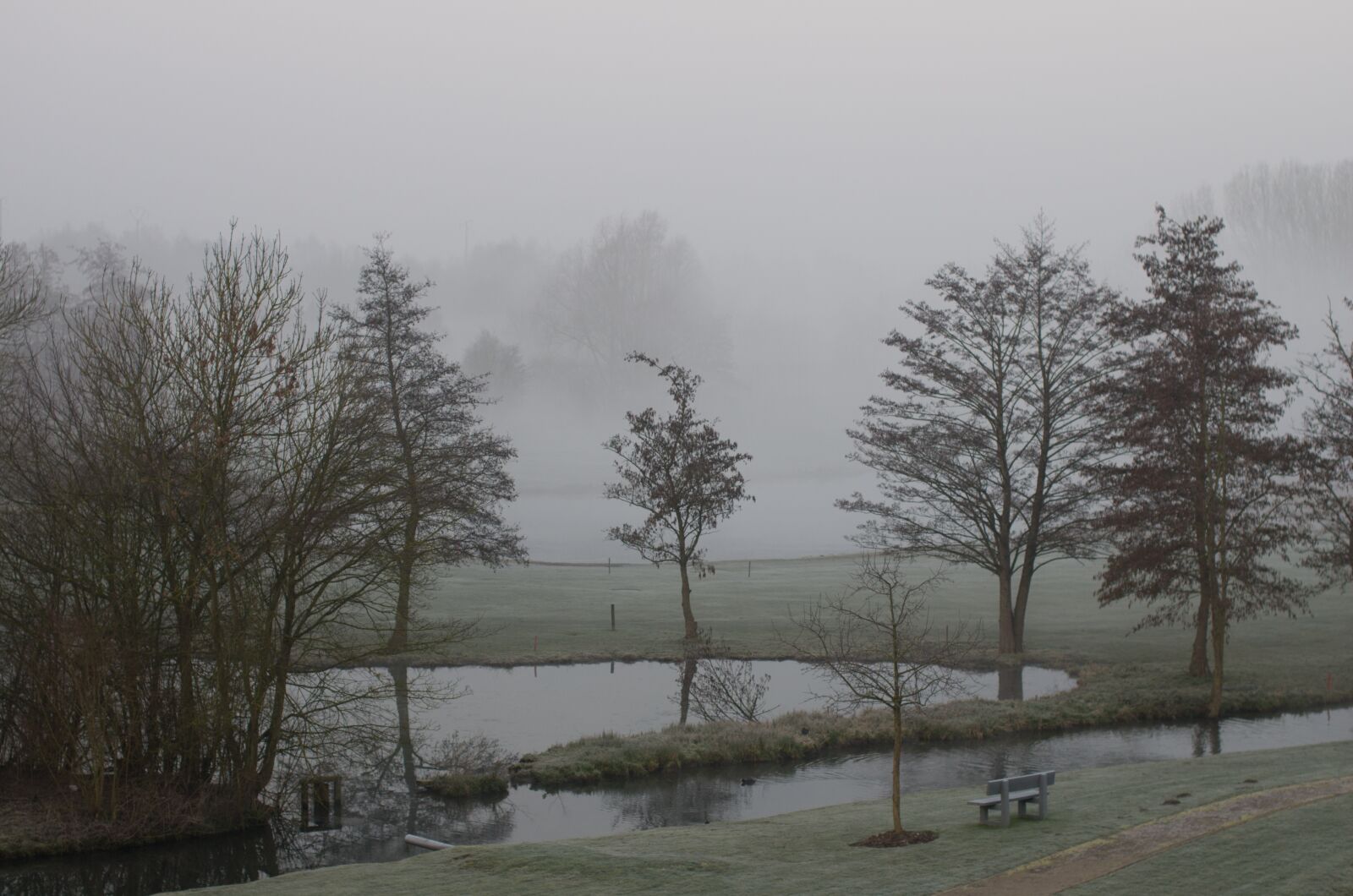 Pentax K-5 sample photo. Tree, fog, landscape photography