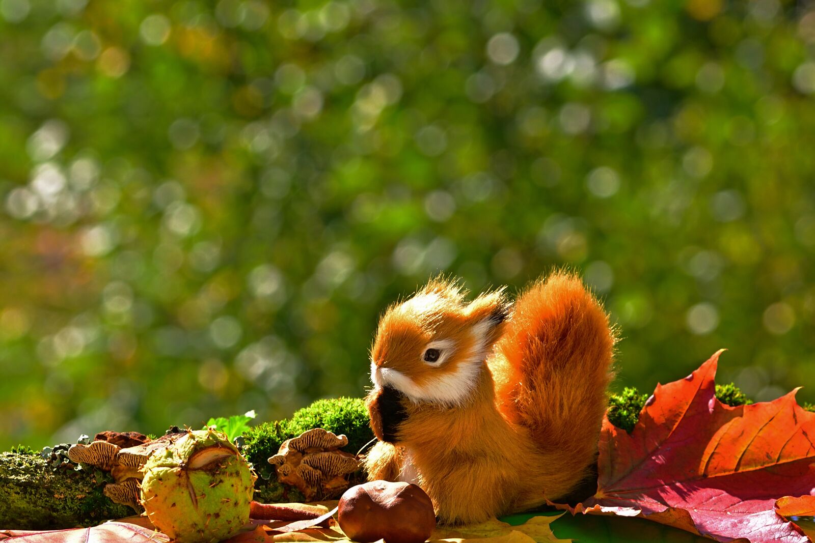 Nikon D5200 sample photo. Squirrel, decoration, autumn photography