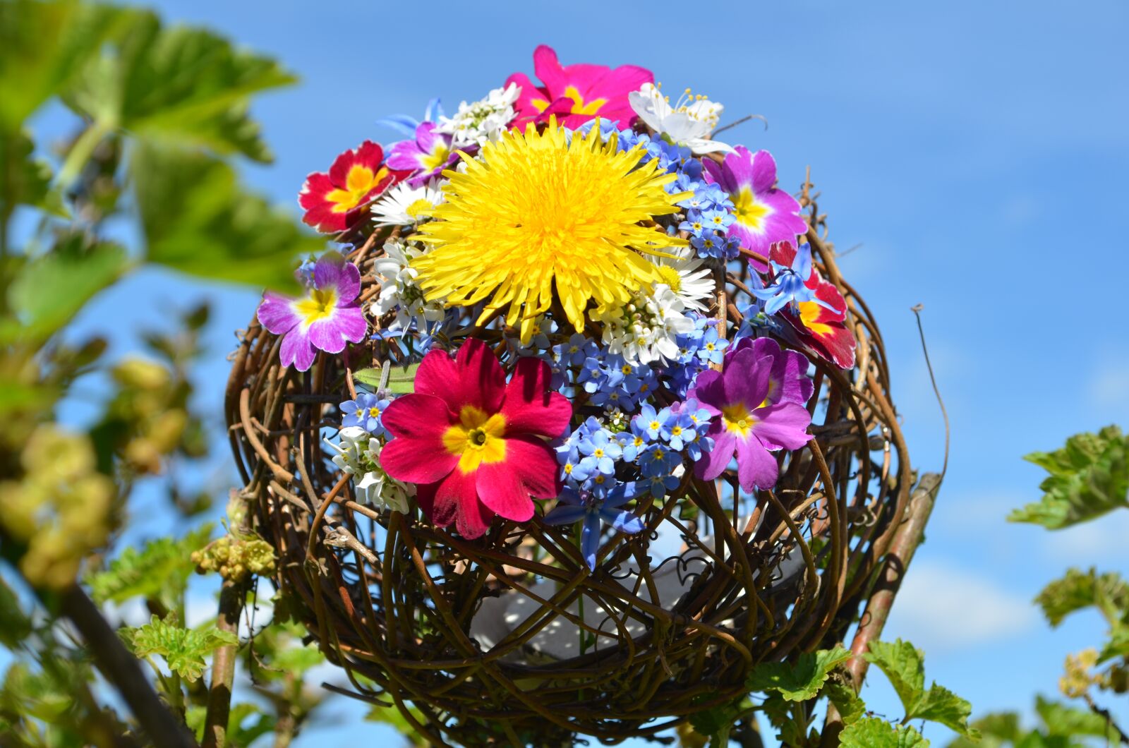 Nikon D5100 sample photo. Easter egg, flowers, spring photography
