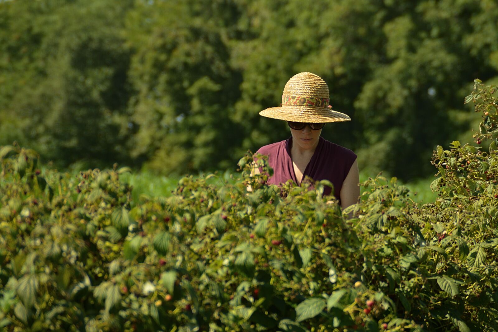 Nikon D3200 sample photo. Women, field, young photography