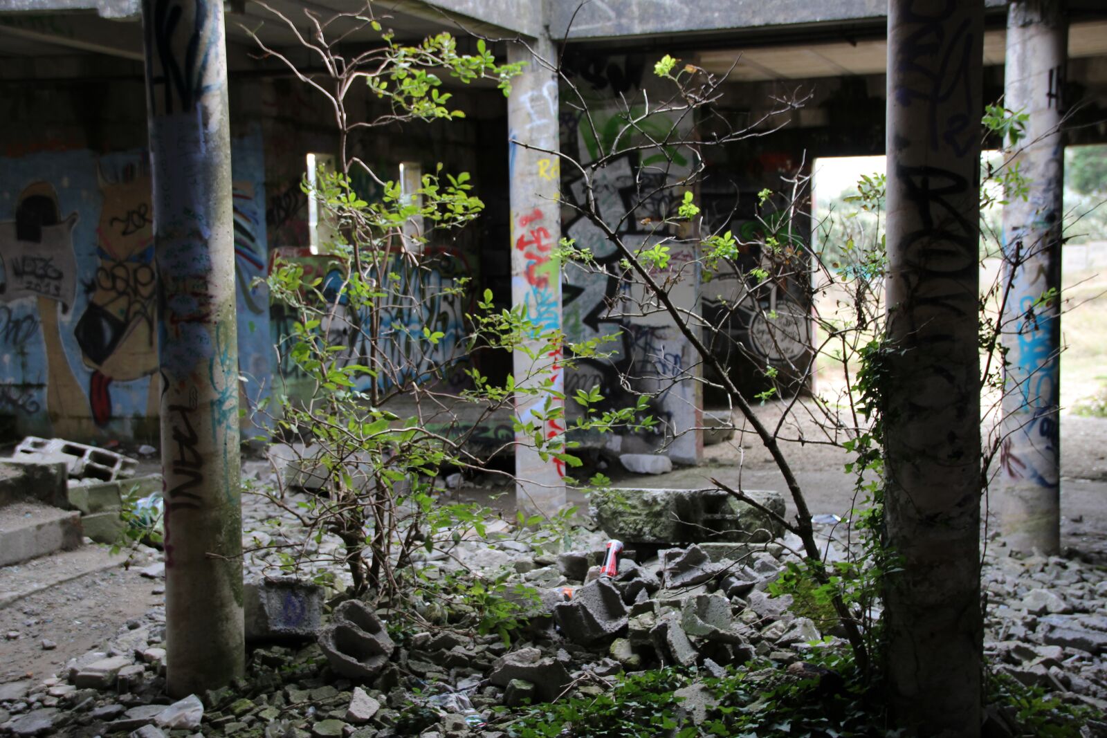 Canon EOS 100D (EOS Rebel SL1 / EOS Kiss X7) sample photo. Abandoned, house, graffiti photography