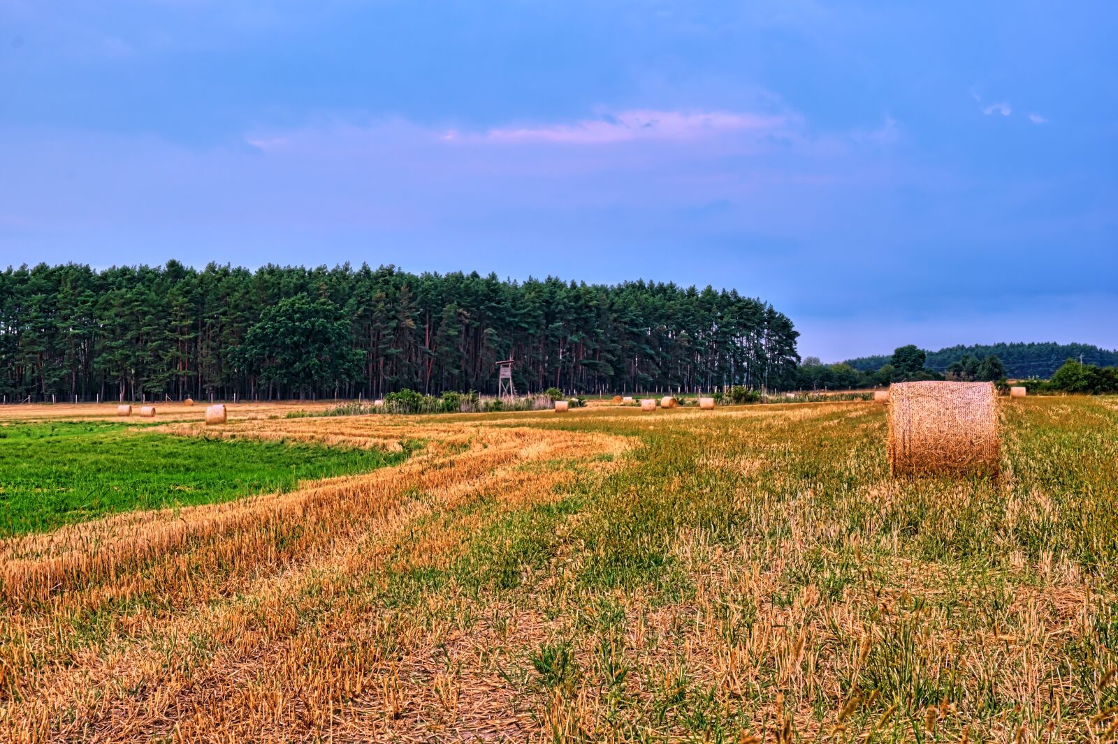 Fujifilm X-T20 sample photo. Agriculture, west, hdr photography