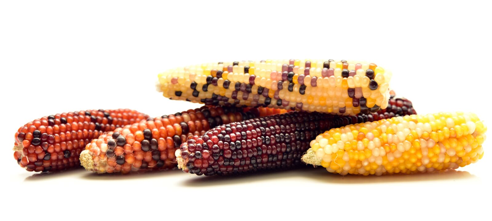 Nikon D750 sample photo. Corn, ornamental corn, decoration photography
