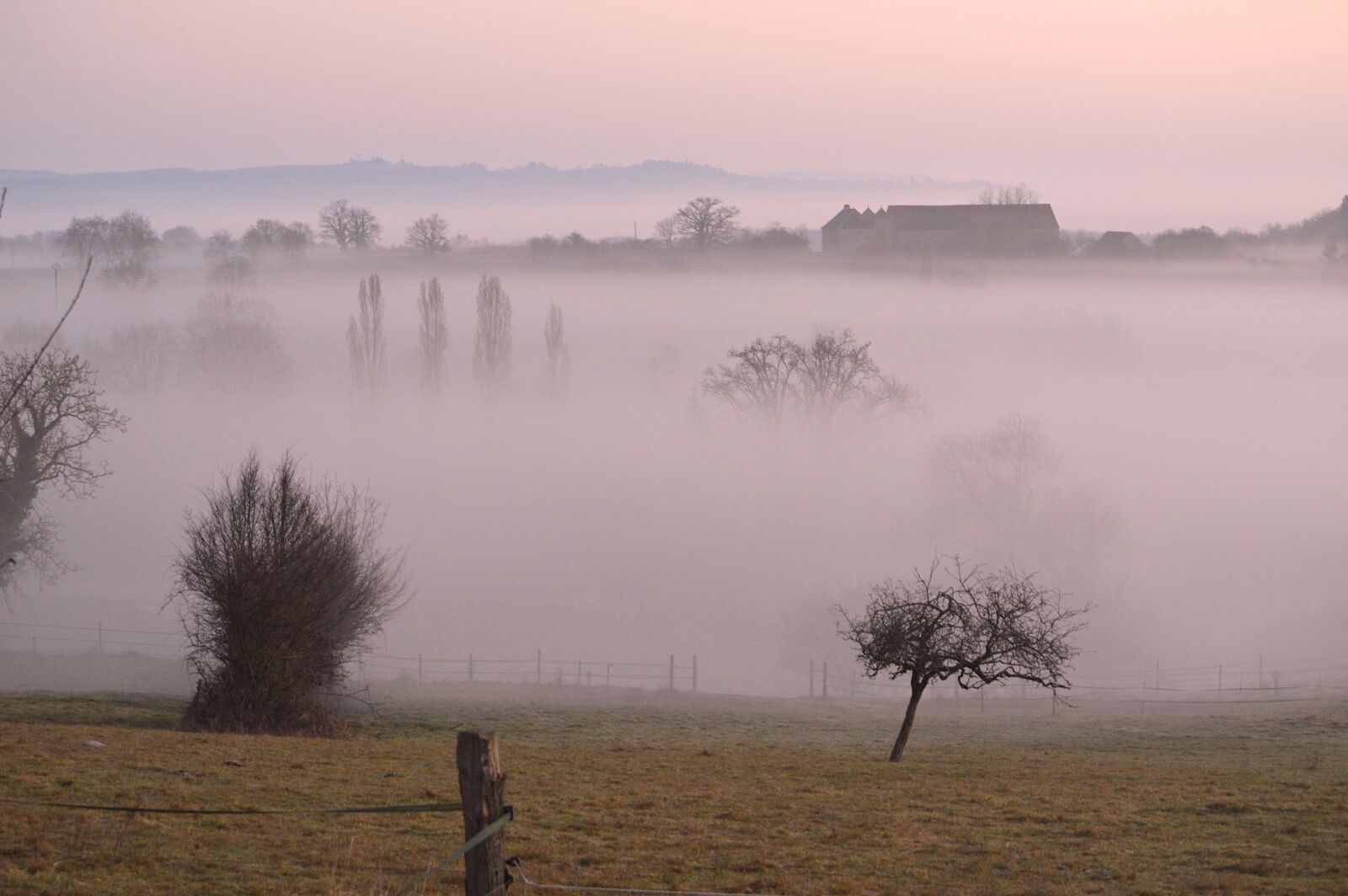 Nikon D3200 sample photo. Fog, early morning, sunrise photography
