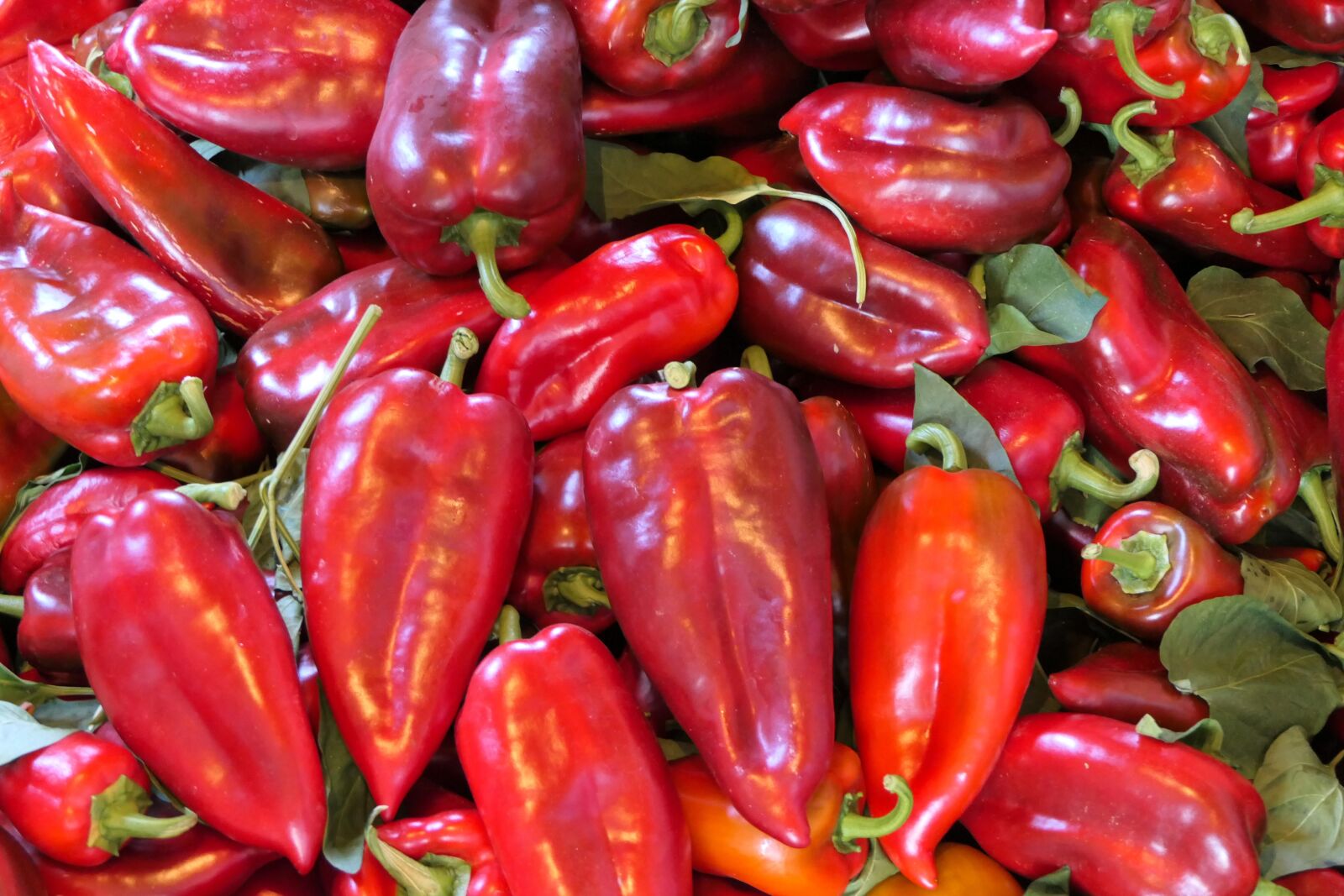 Panasonic Lumix DMC-FZ2500 (Lumix DMC-FZ2000) sample photo. Red, food, paprika photography