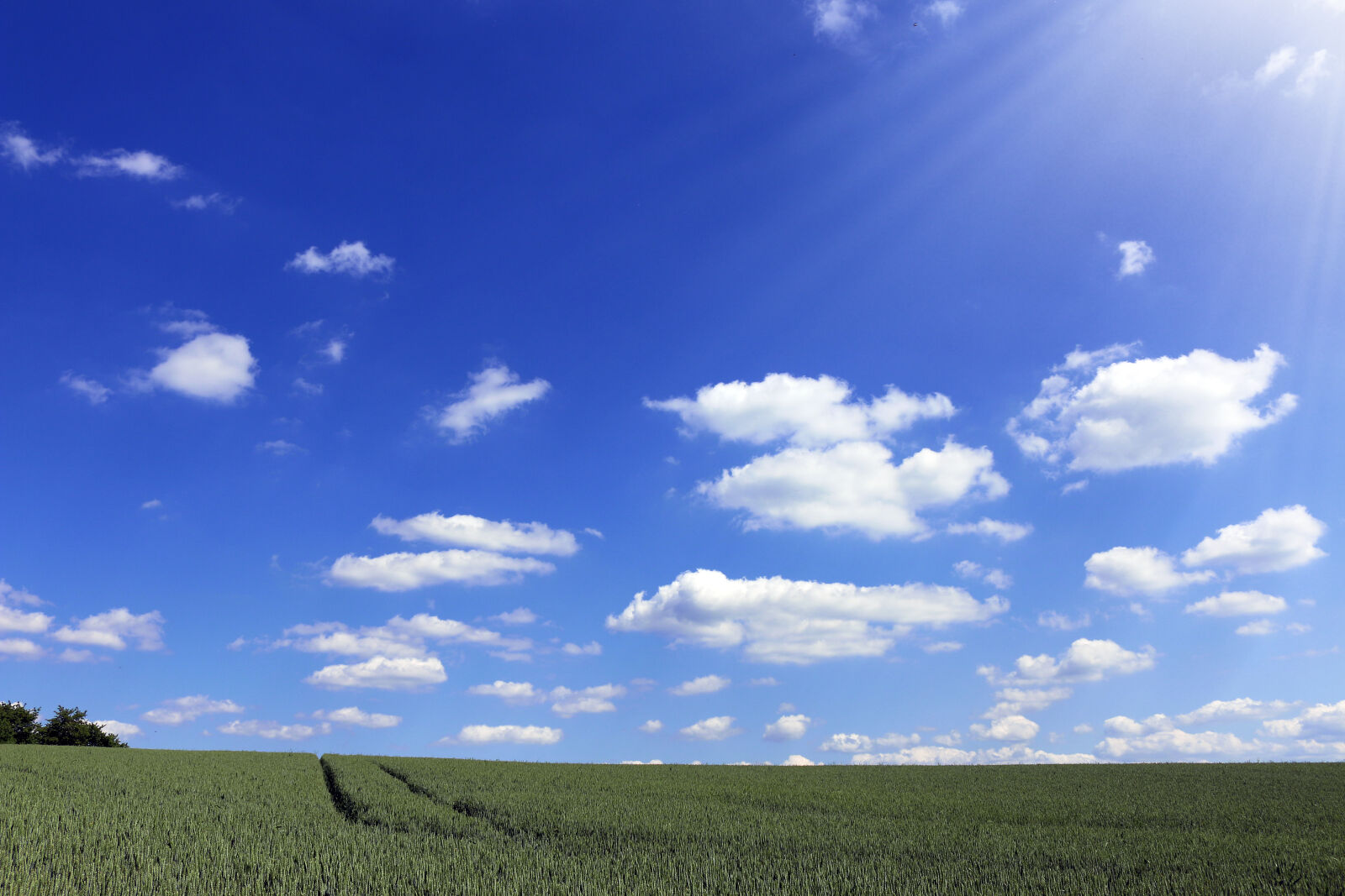 Canon EOS 70D sample photo. Agriculture, clouds, desktop, backgrounds photography