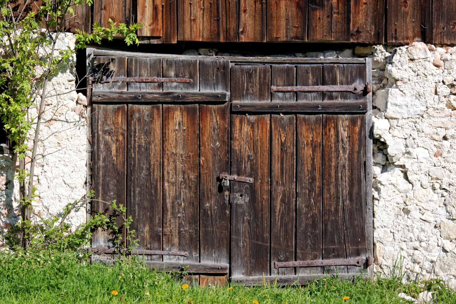 55.0-200.0mm f/4.0-f/5.6 sample photo. Entrance door, wood, input photography