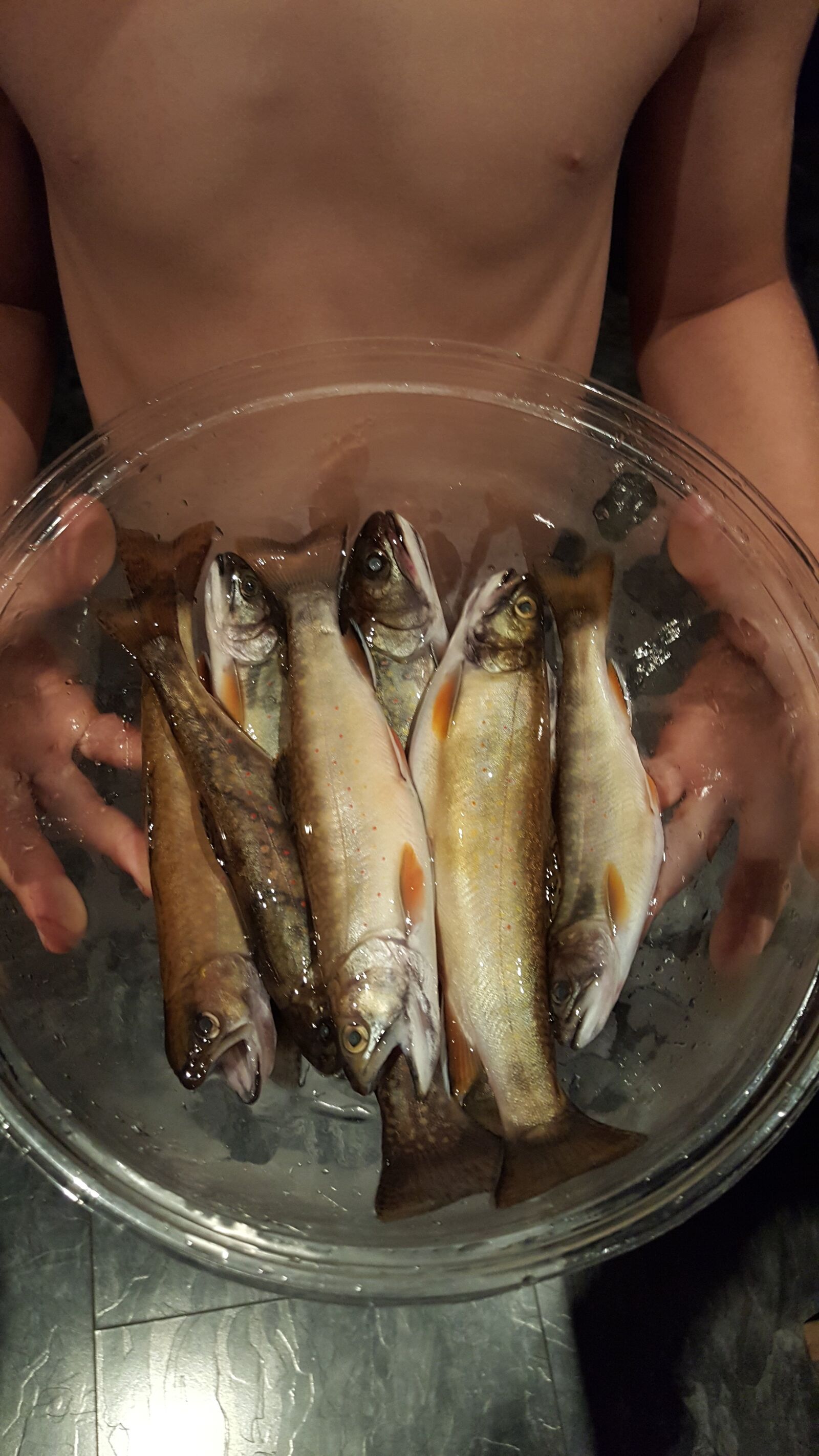 Samsung Galaxy S6 sample photo. Fishing, fish, river photography