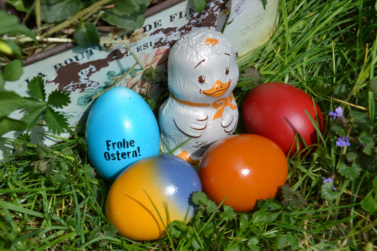 Nikon D3100 sample photo. Easter eggs, easter chick photography