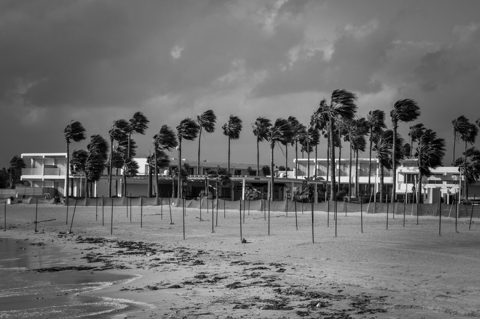 Nikon D3300 sample photo. Beach, winter, stormy weather photography