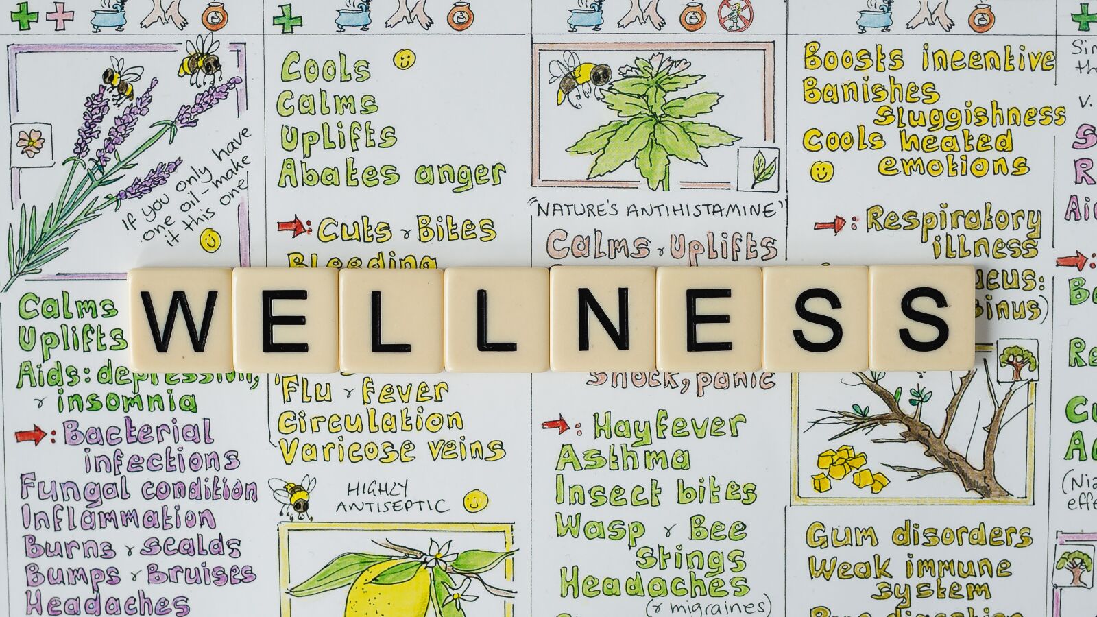 Olympus OM-D E-M10 III sample photo. Healthy, wellness, meditation photography