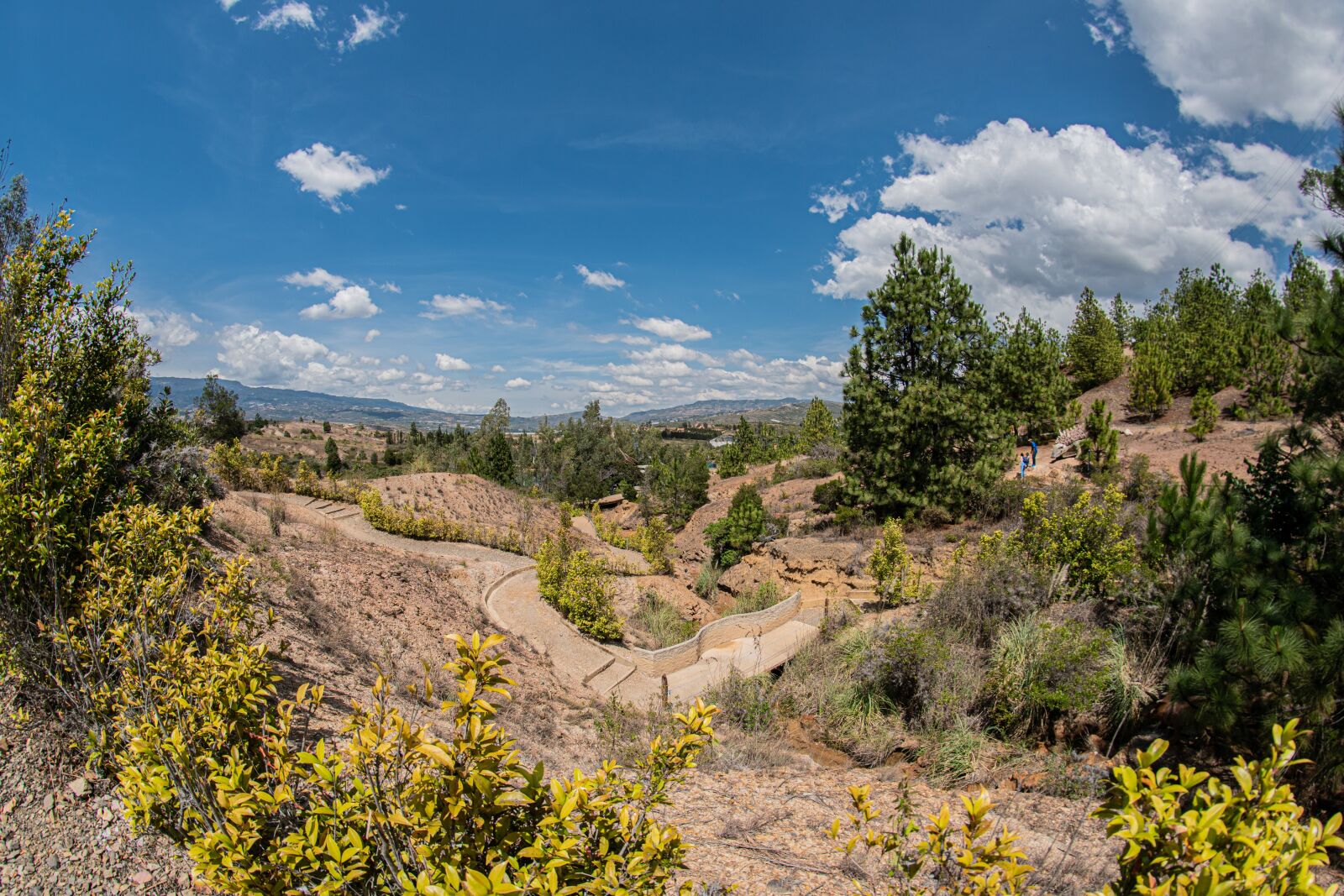 Nikon D5600 sample photo. Gondava, park, boyacá photography