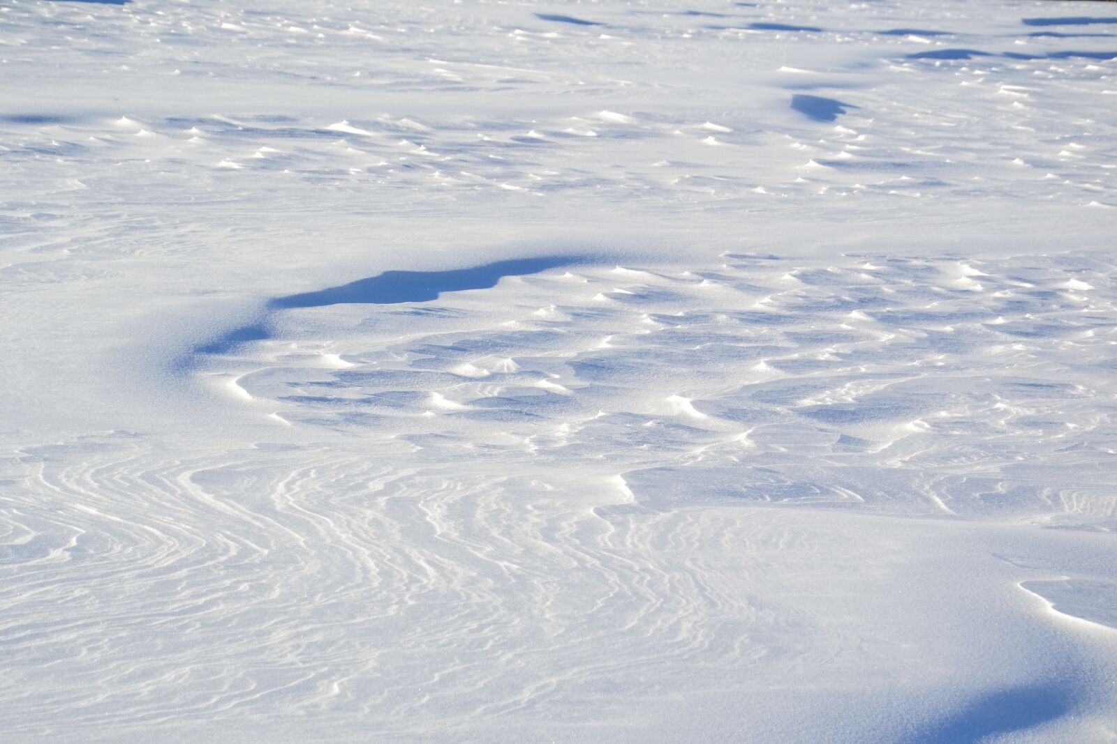 Nikon D3100 sample photo. Snow, snowdrifts, winter photography