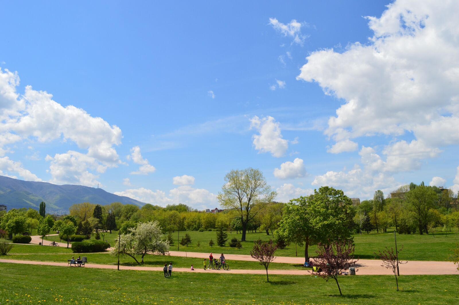 Nikon D3200 sample photo. Park, urban, out photography