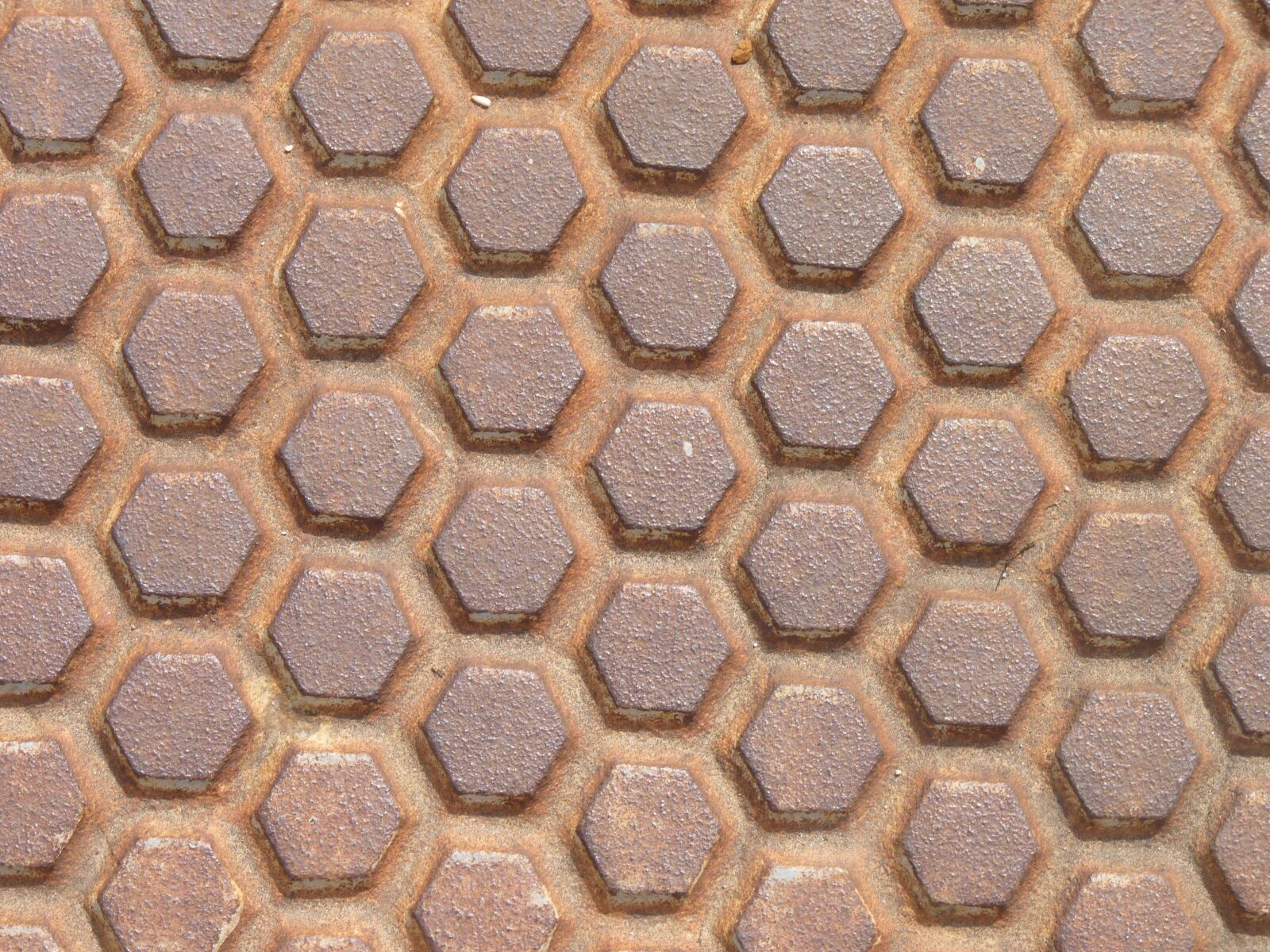 Panasonic Lumix DMC-FZ35 (Lumix DMC-FZ38) sample photo. Hexagon, rust, metal photography
