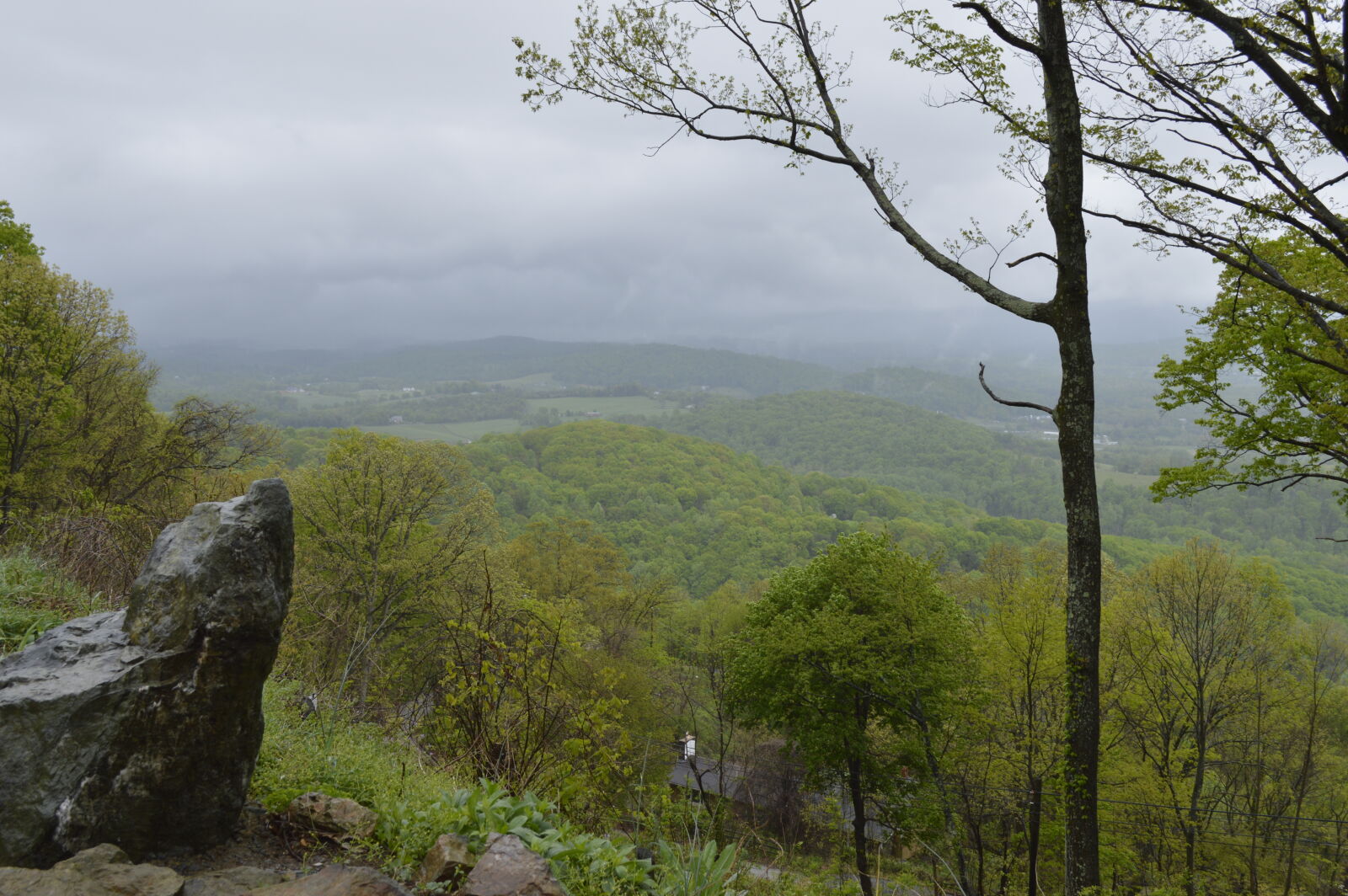 Nikon D3200 sample photo. Blurry, background, bright, clouds photography
