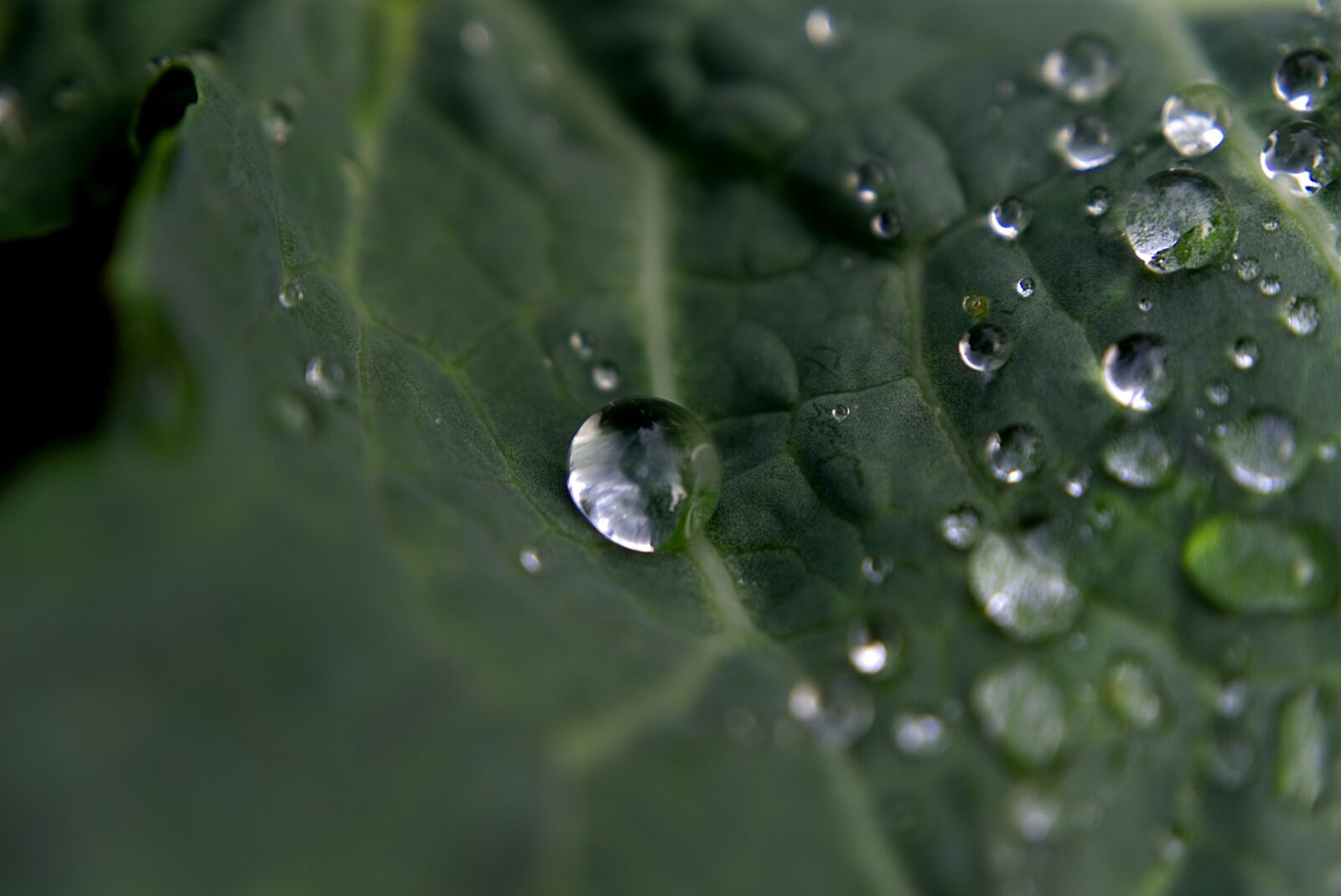 Фото капельки воды