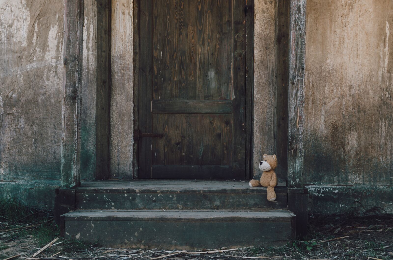Nikon D7000 sample photo. Teddy, teddy bear, toy photography