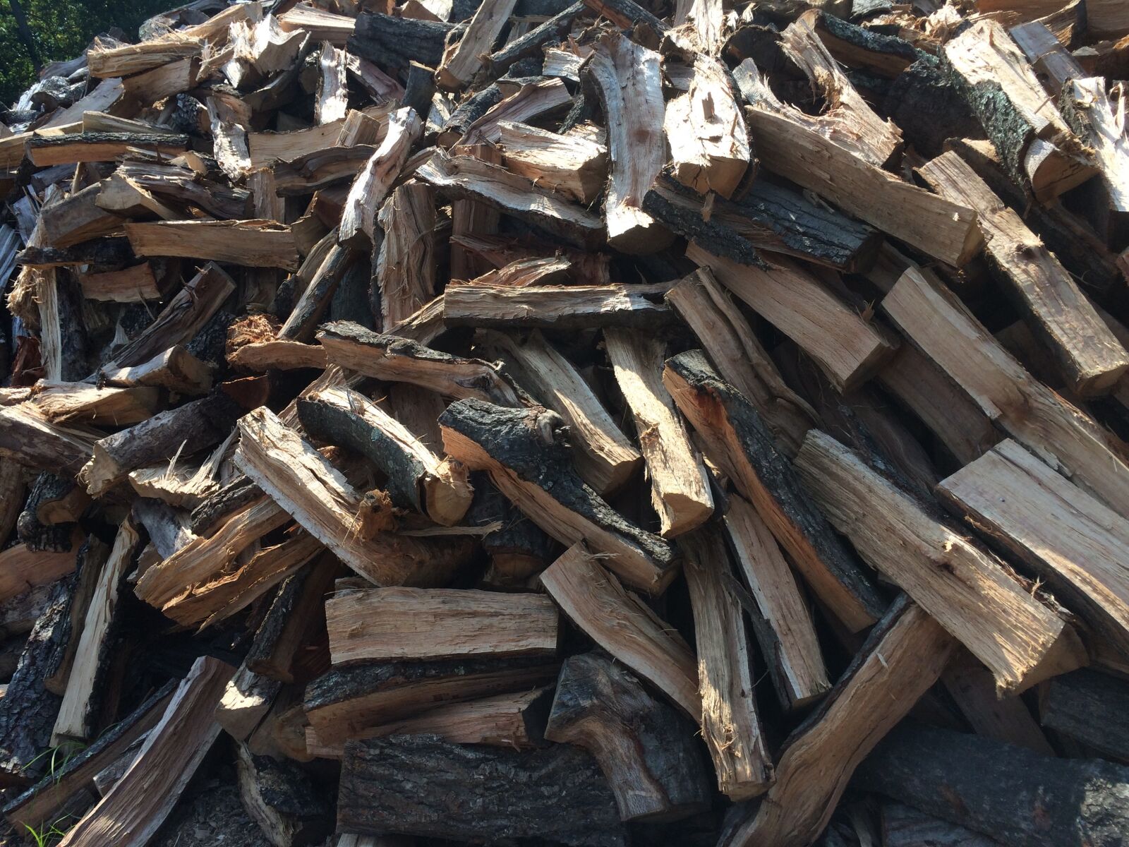 Apple iPhone 5s sample photo. Firewood, woodpile, timber photography