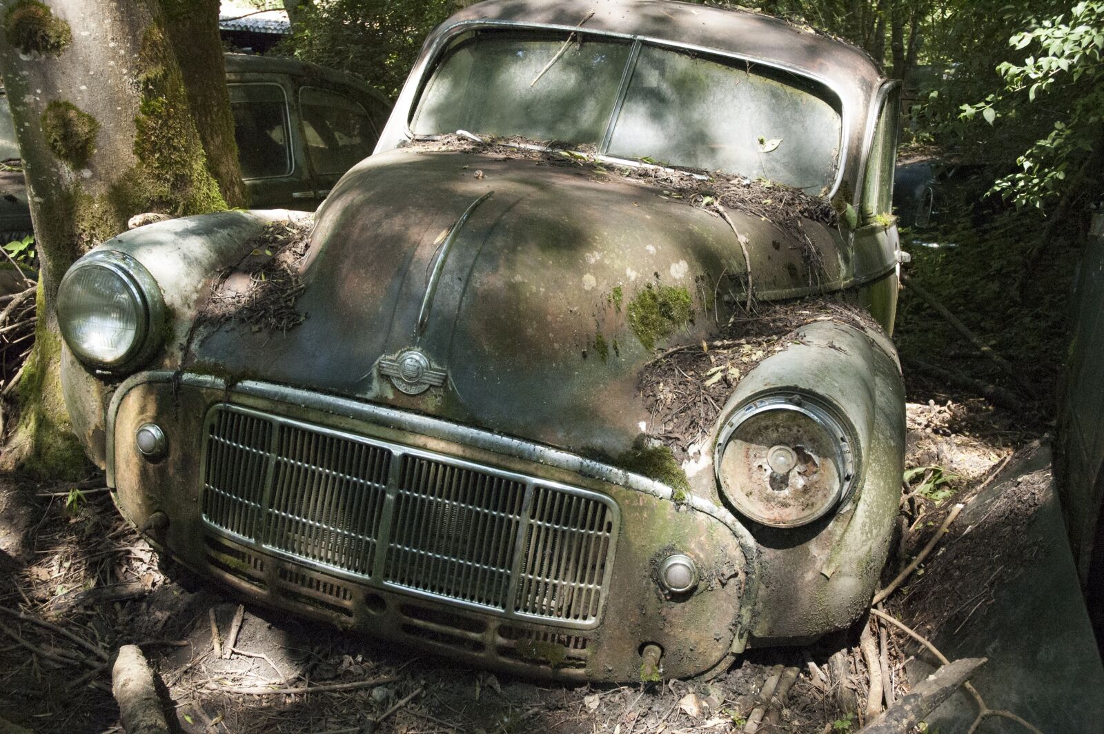 Nikon D70 sample photo. Auto, car cemetery, oldtimer photography
