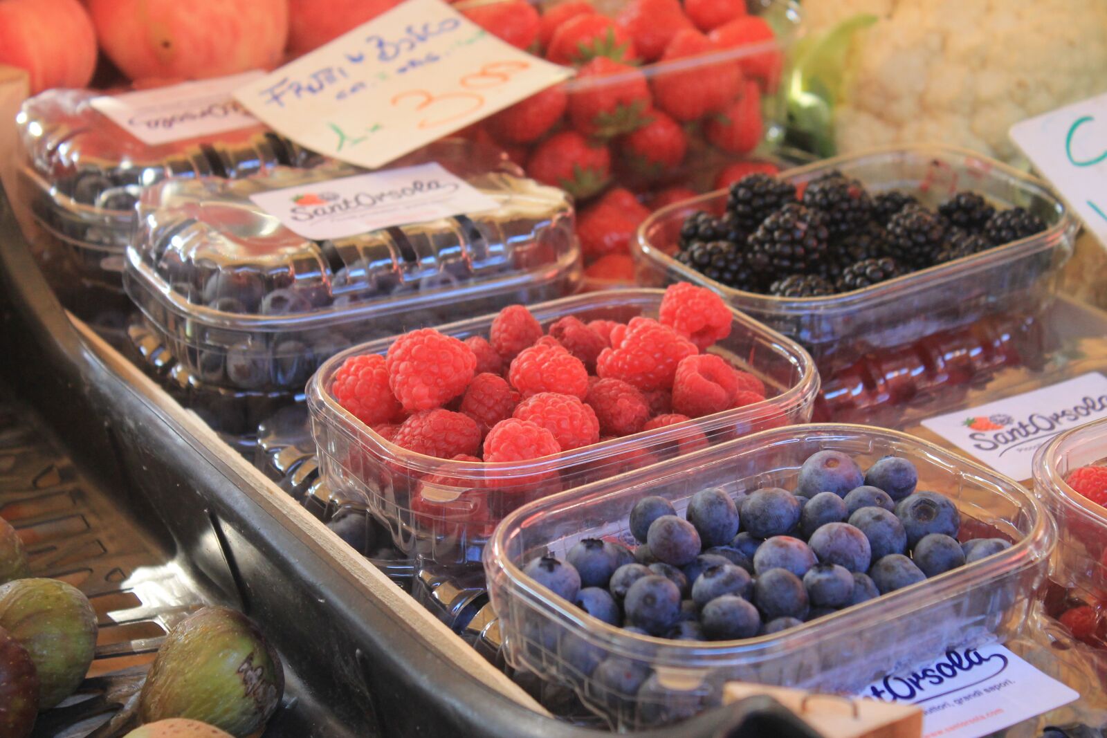 Canon EOS 1100D (EOS Rebel T3 / EOS Kiss X50) sample photo. Berries, raspberries, blueberries photography