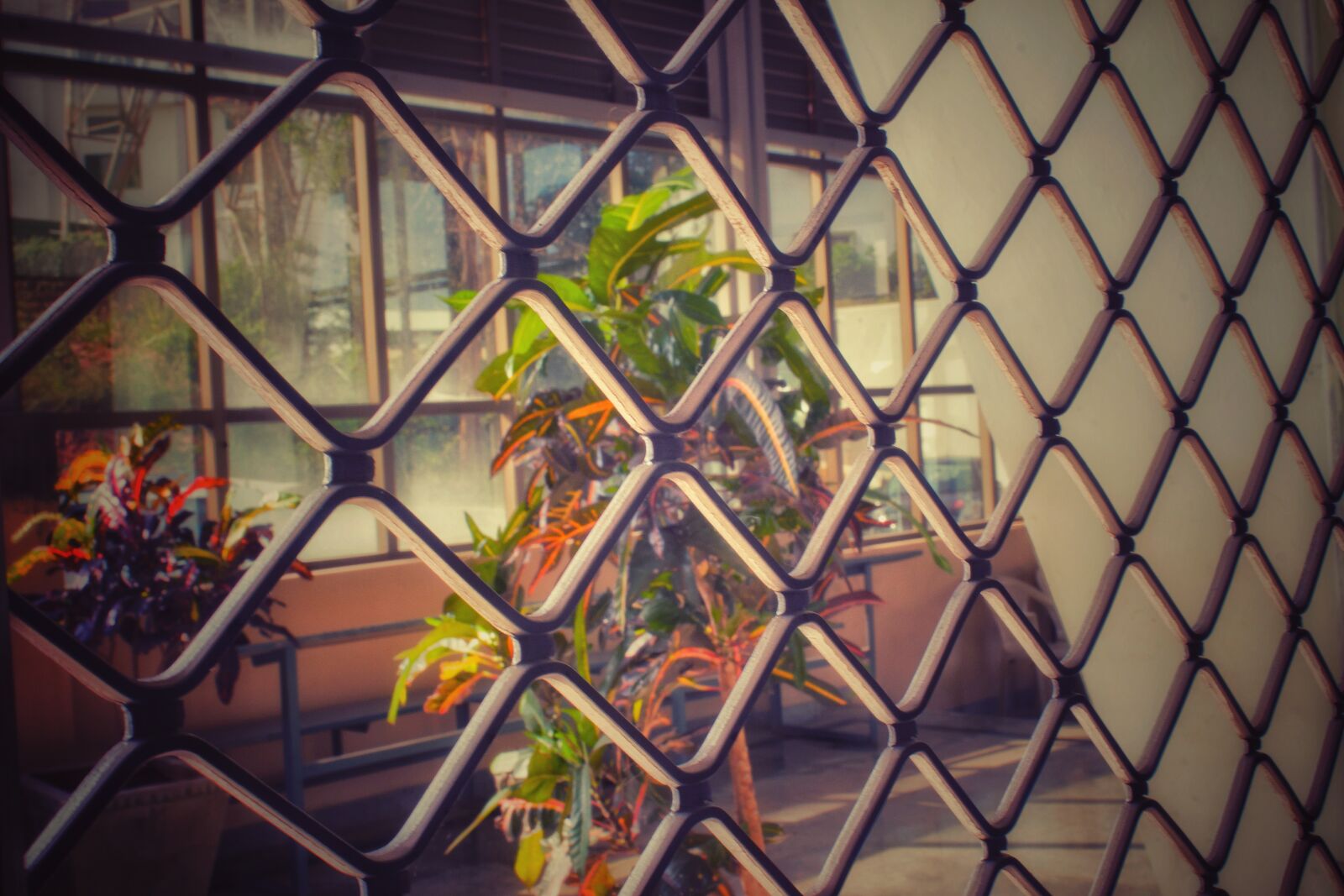 Canon EOS 700D (EOS Rebel T5i / EOS Kiss X7i) sample photo. Daylight, free, wallpaper, nature photography
