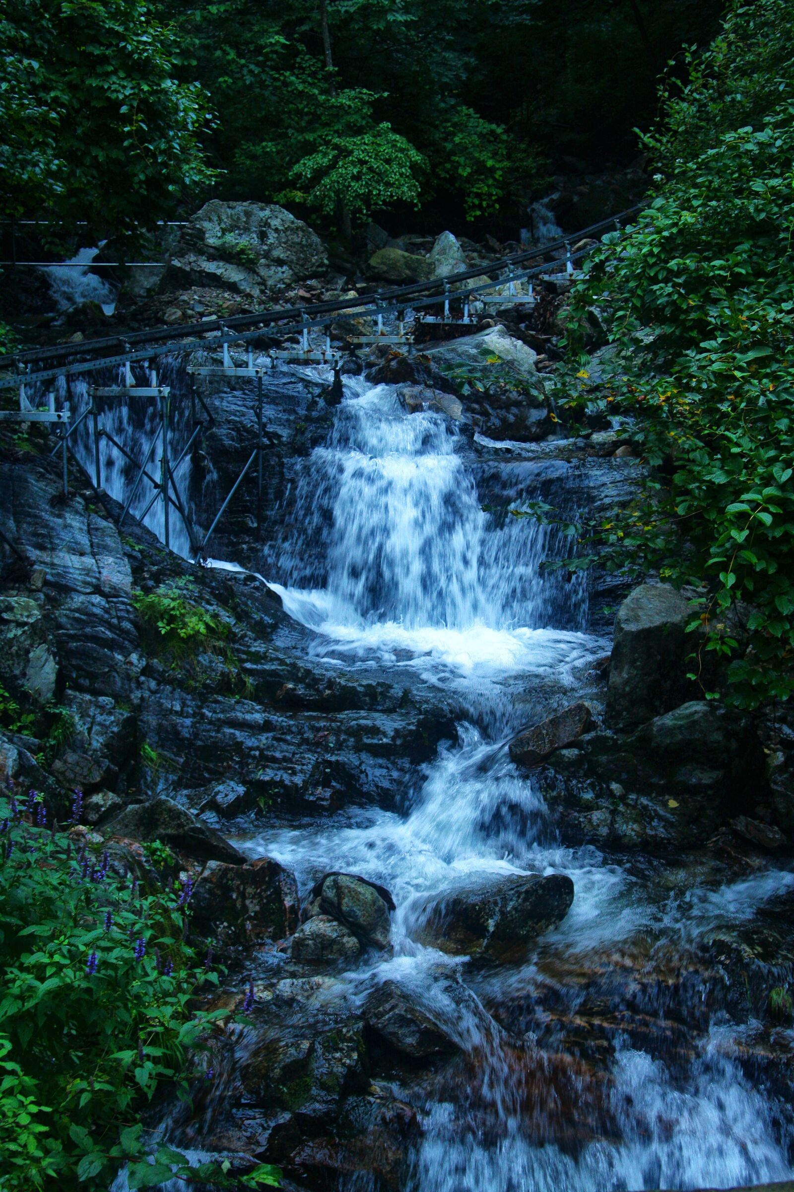 Canon EOS 40D sample photo. Streams, the creek, nature photography