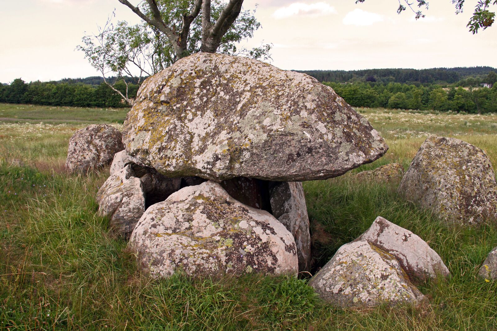 Canon EOS 50D sample photo. Dolmen, cairn, rocks photography